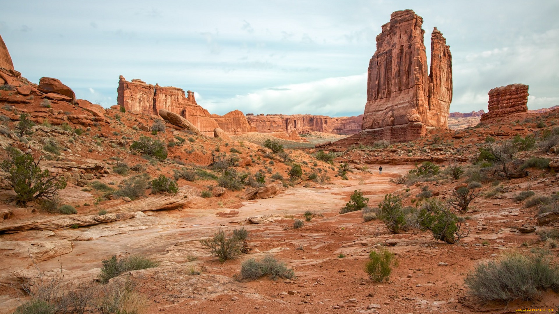 природа, пустыни, простор