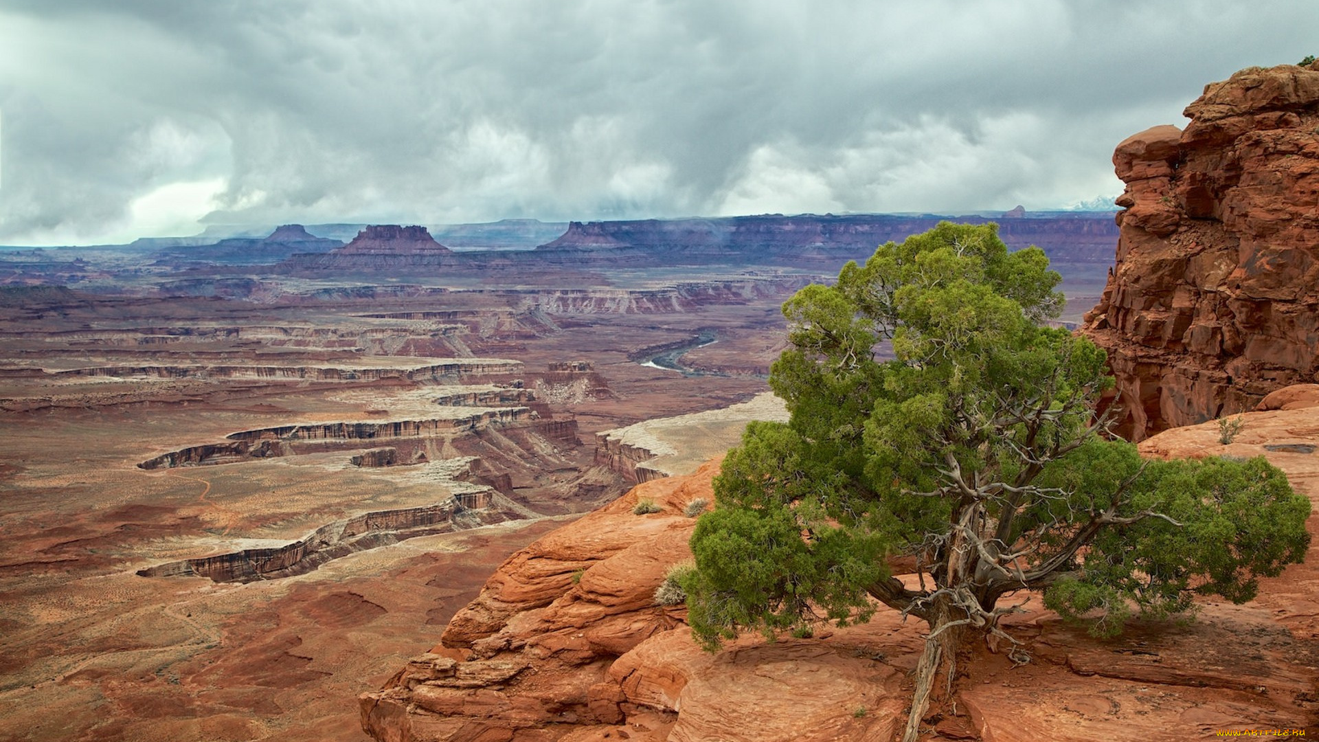природа, пустыни, простор