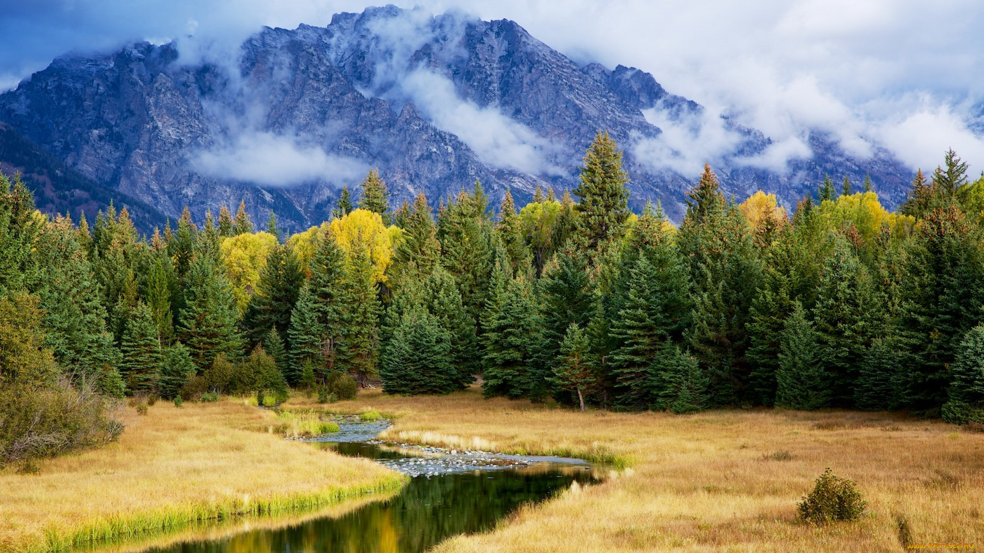 природа, реки, озера, простор