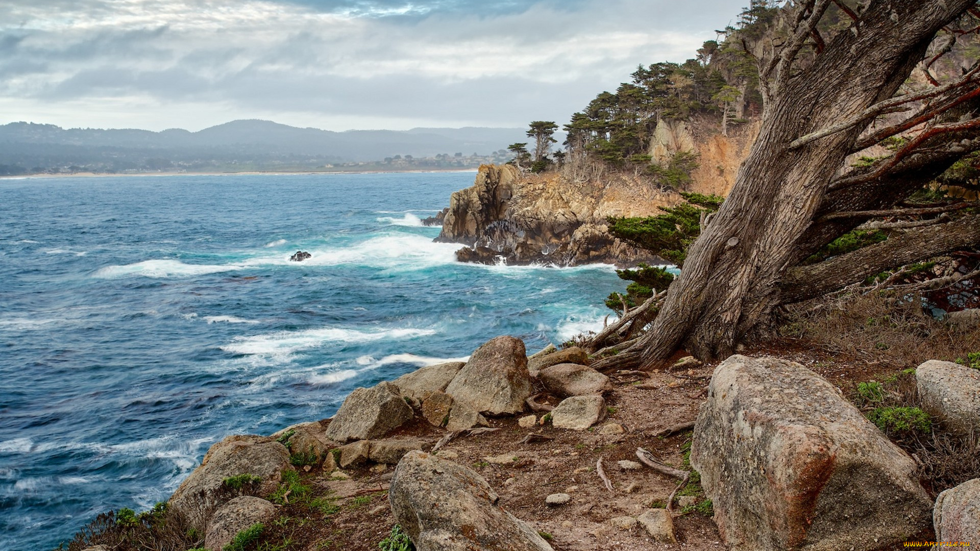 природа, реки, озера, простор