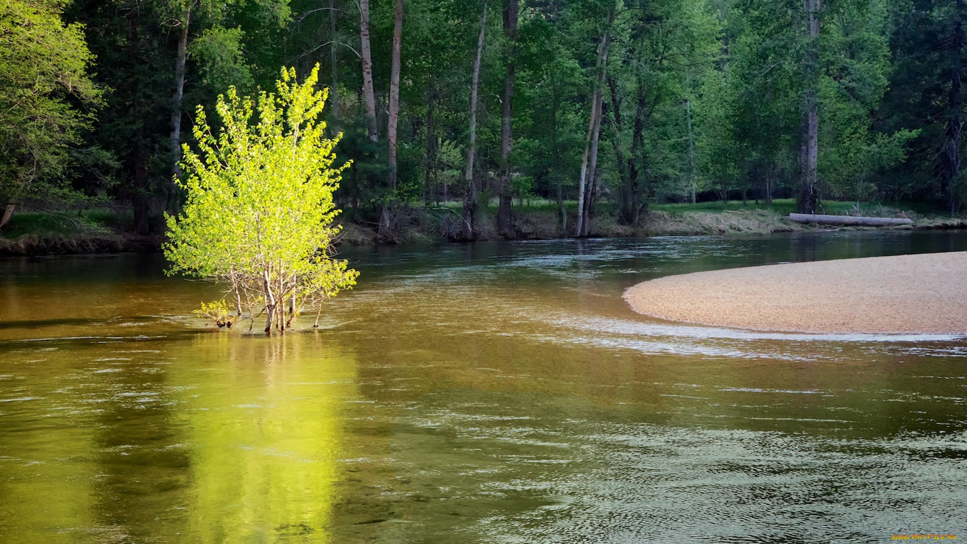 природа, реки, озера, простор