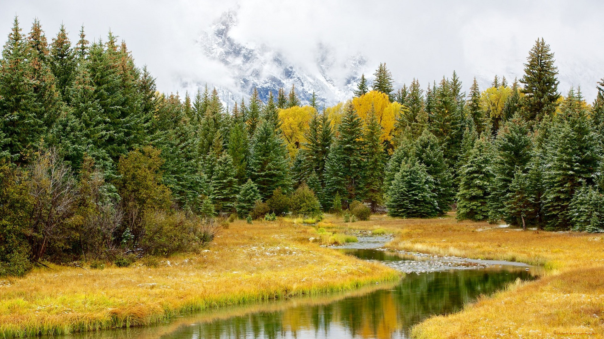 природа, реки, озера, простор