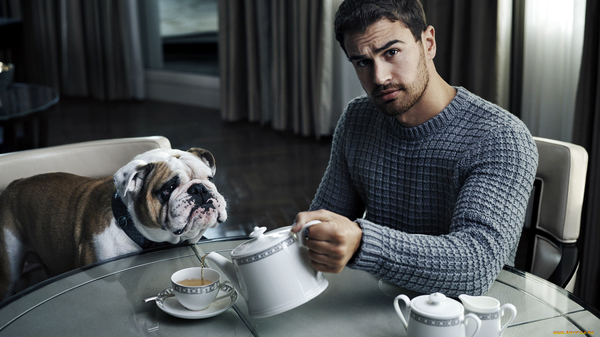 theo, james, мужчины, -, unsort, theo, james