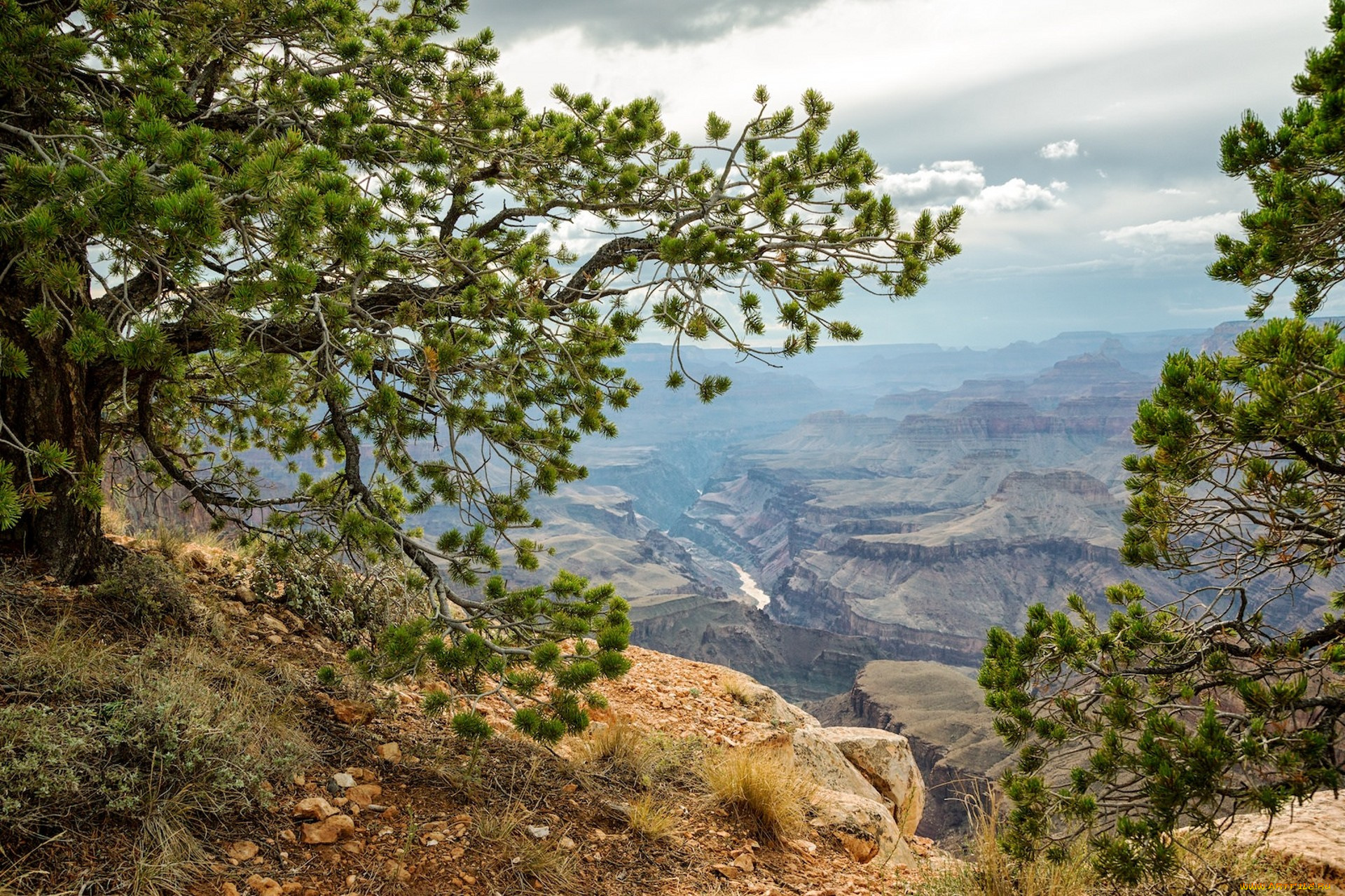 природа, горы, простор