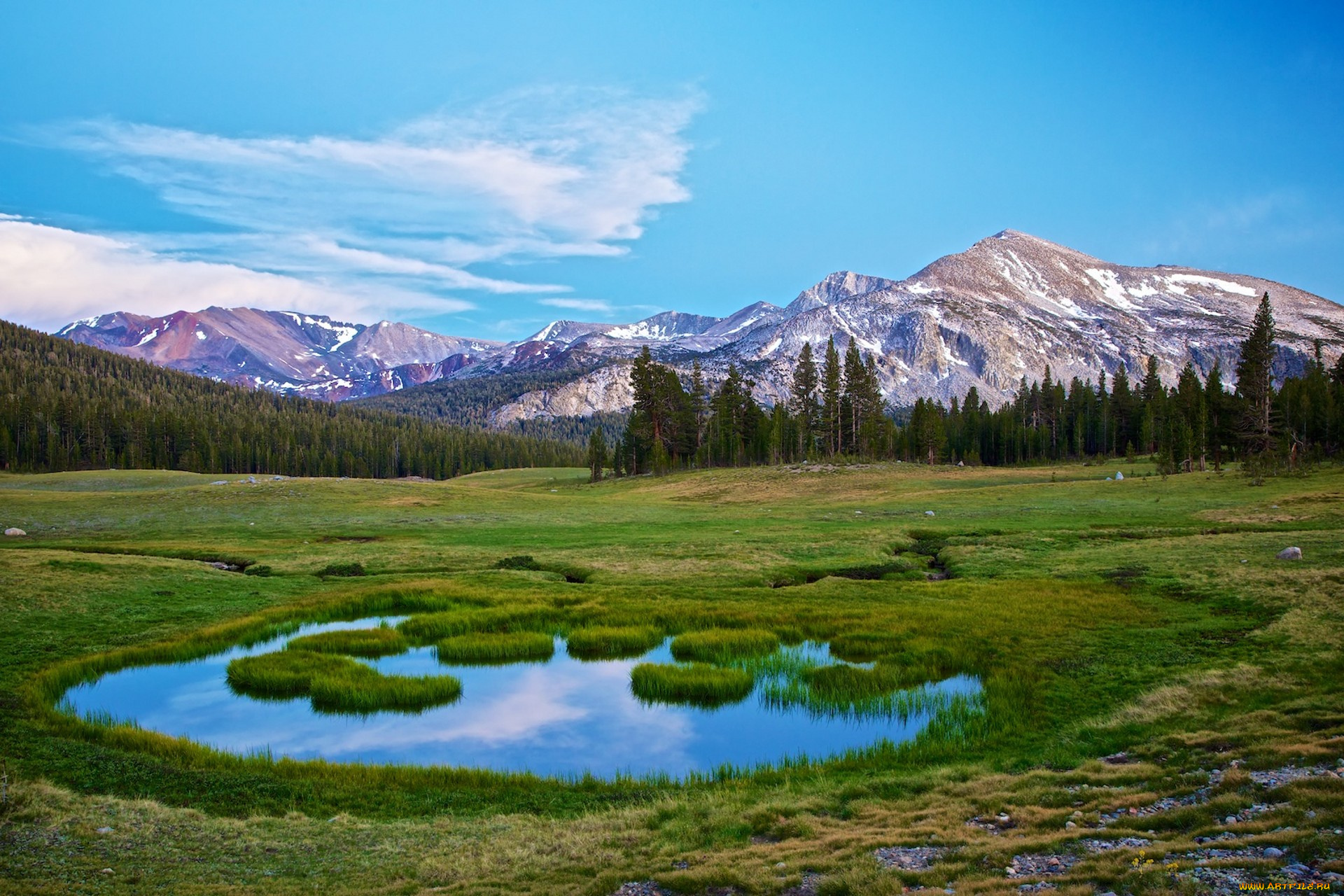природа, пейзажи, простор
