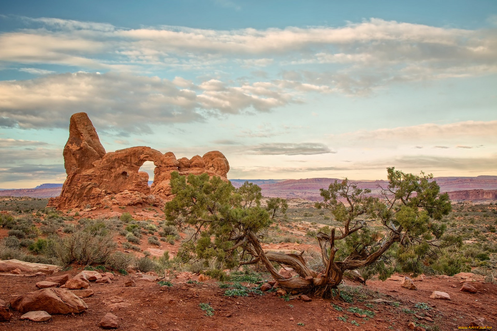 природа, пустыни, простор