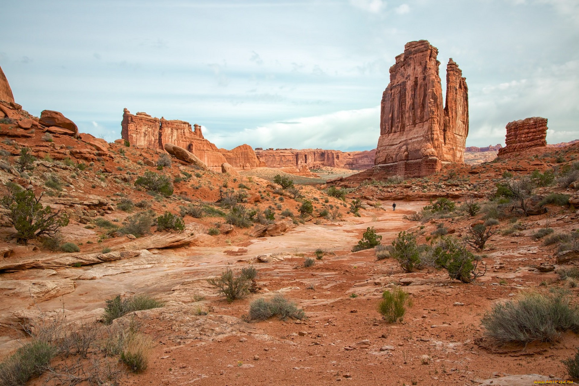 природа, пустыни, простор