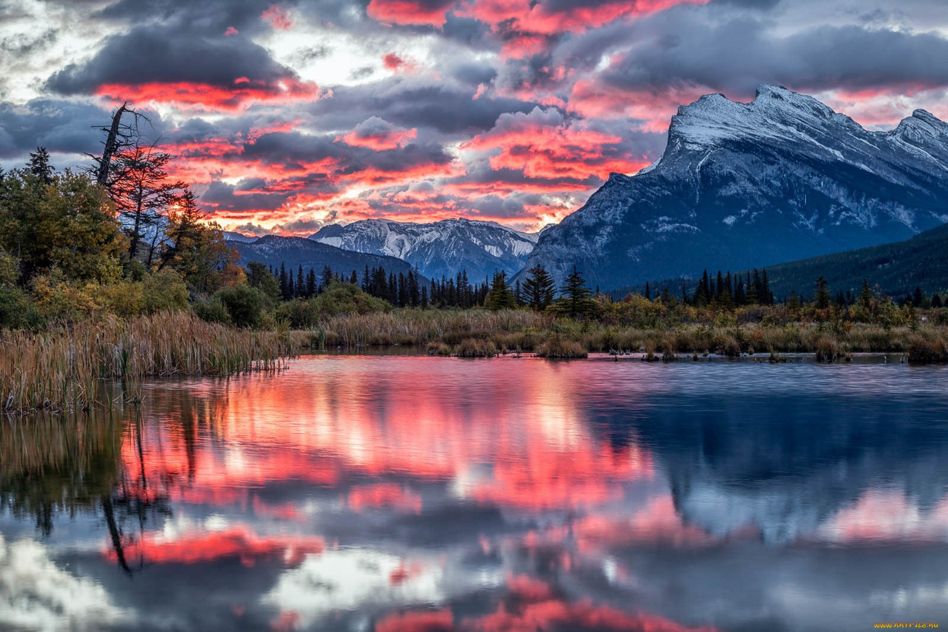 природа, реки, озера, простор