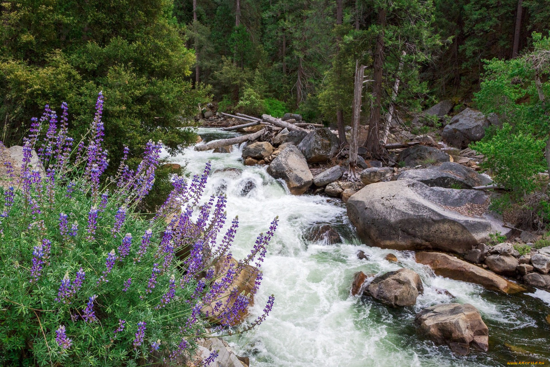 природа, реки, озера, простор