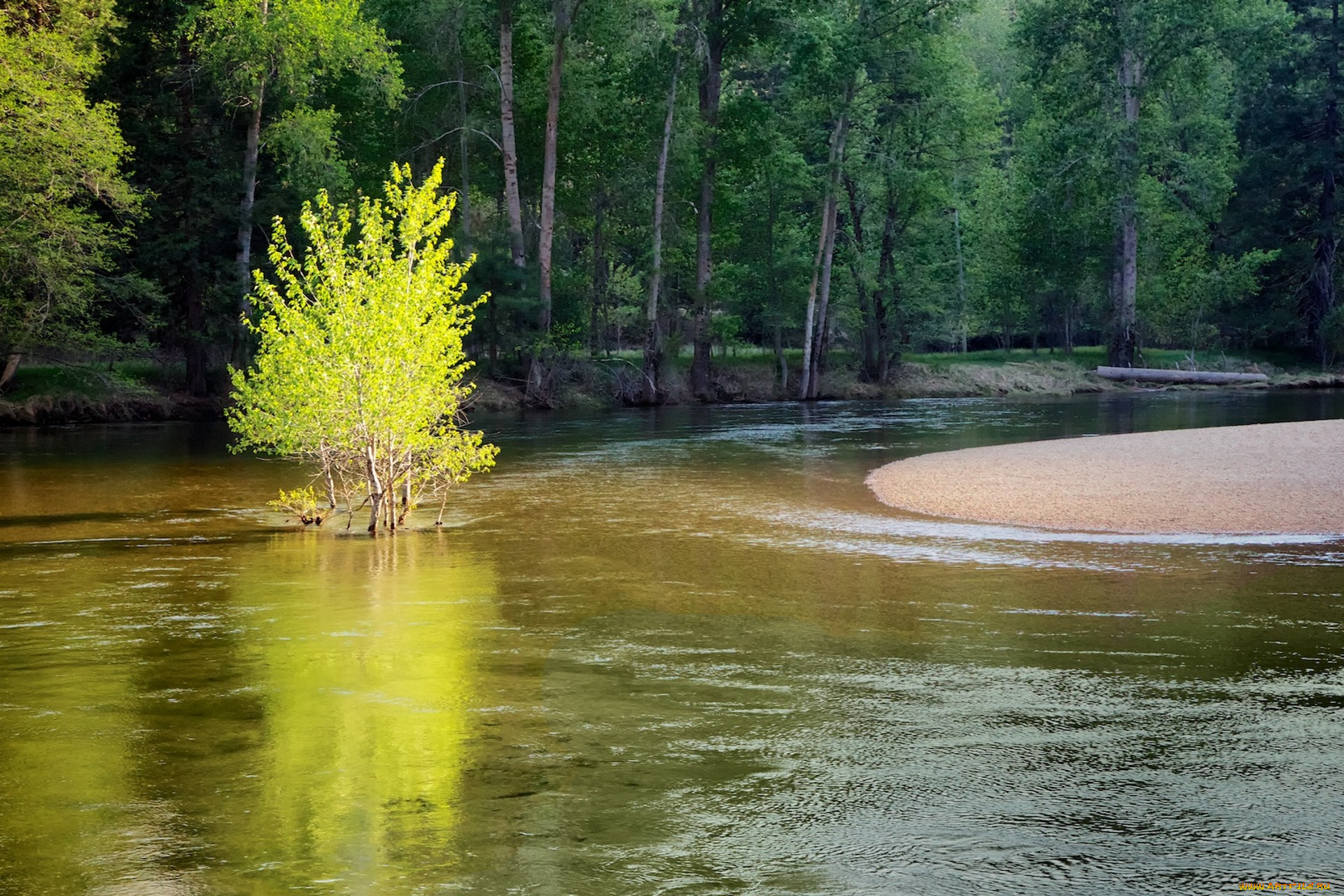 природа, реки, озера, простор