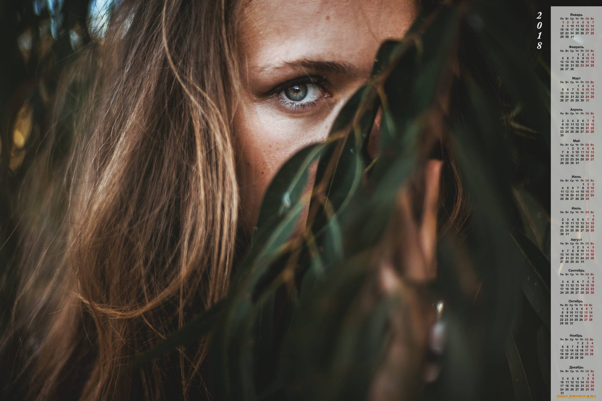 календари, девушки, ветка, лицо, взгляд