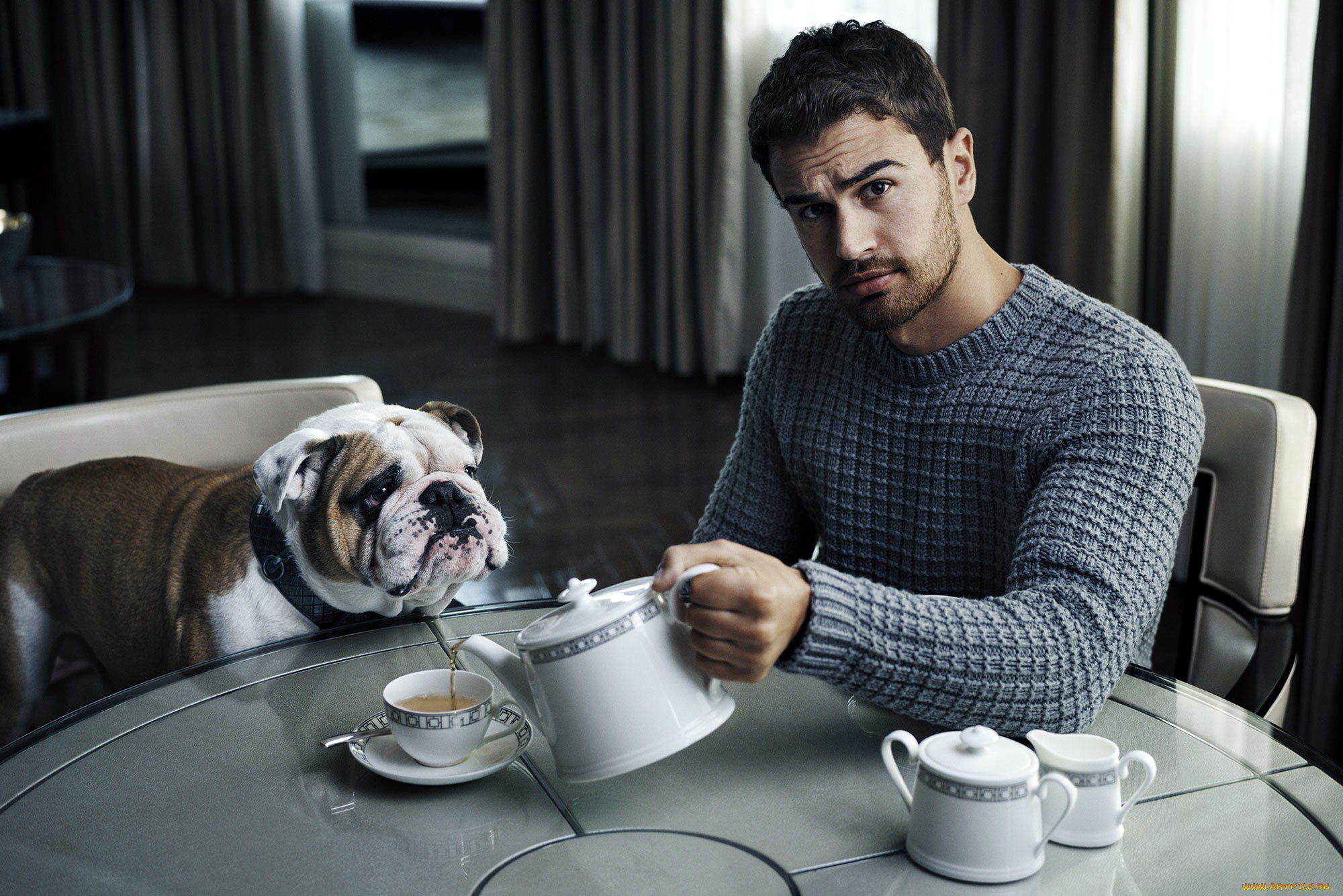 theo, james, мужчины, -, unsort, theo, james
