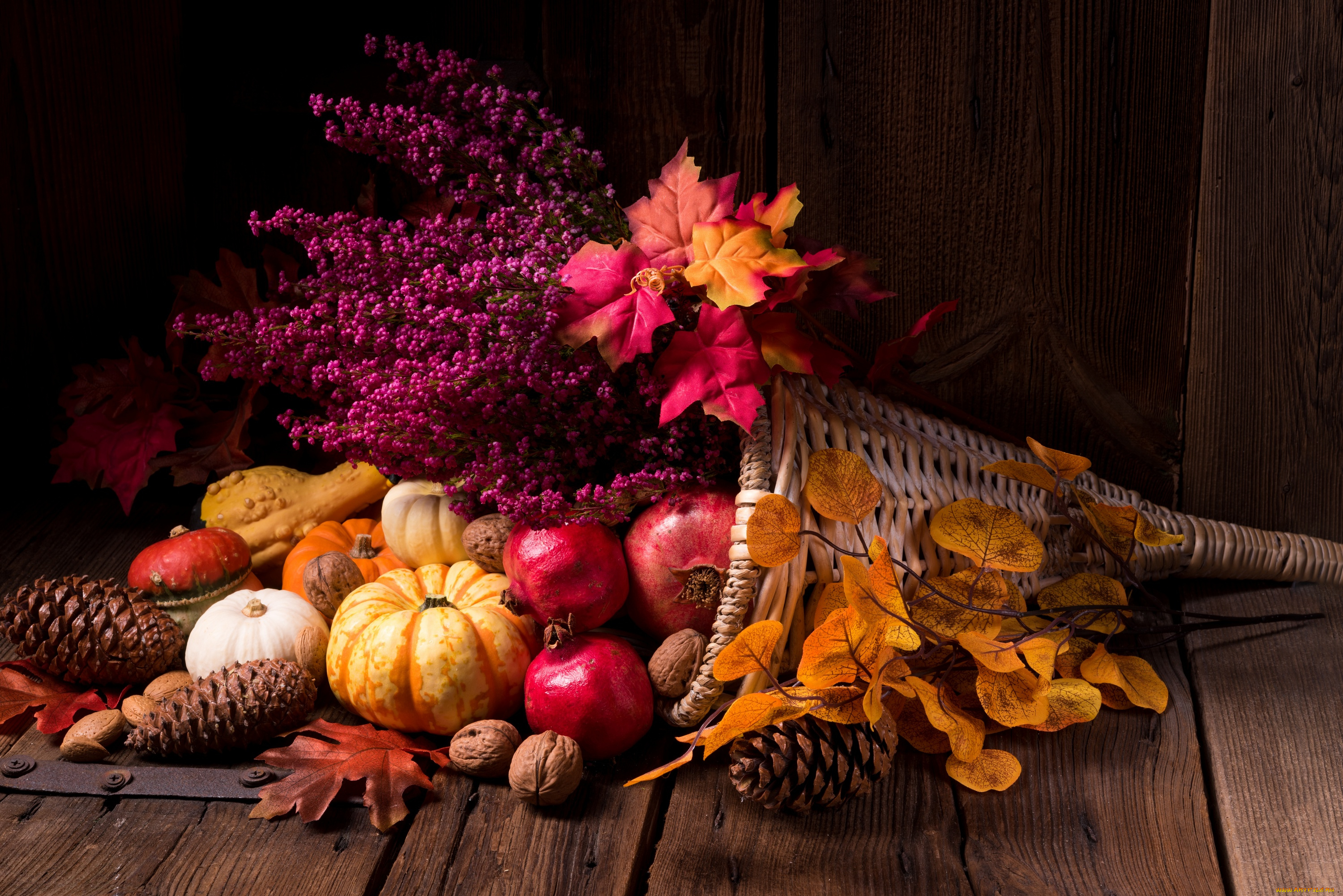 еда, натюрморт, цветы, тыква, орехи, дары, осени, гранат, листья