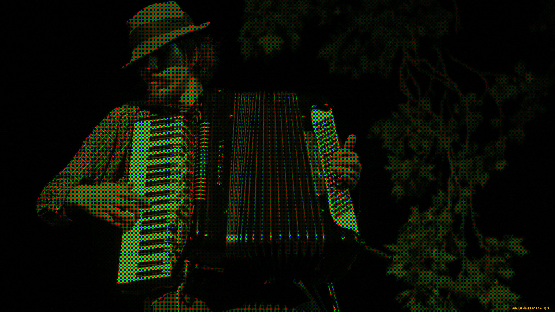 jason-webley, музыка, -временный, музыкант