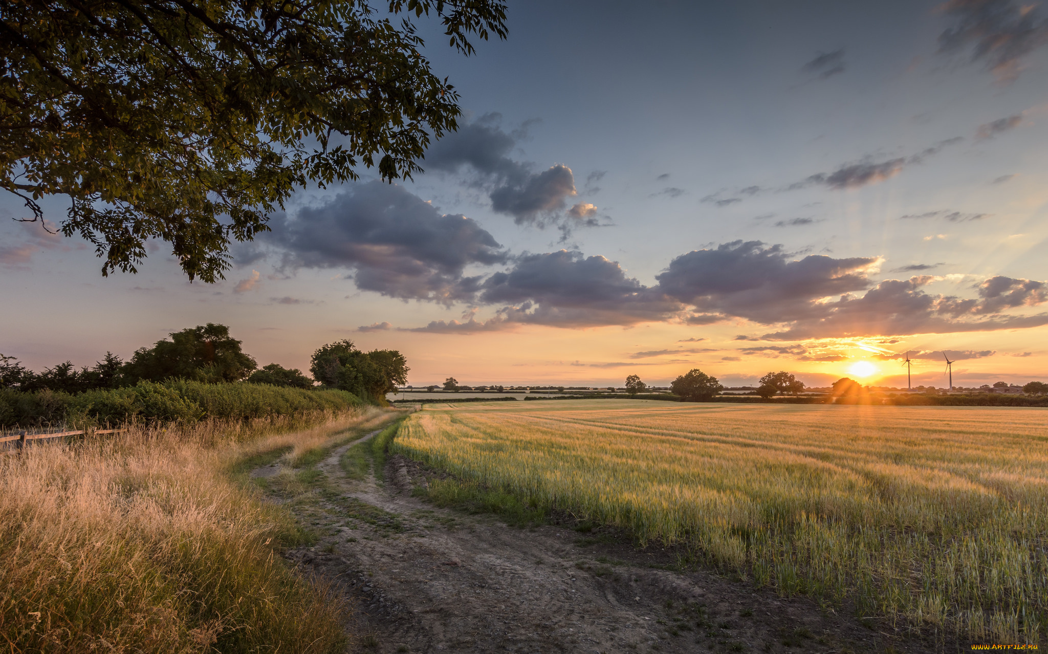 природа, дороги, простор