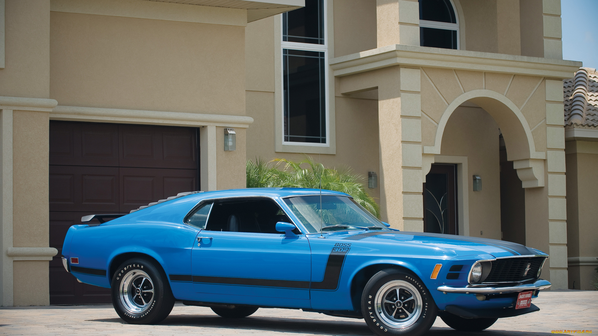 автомобили, mustang