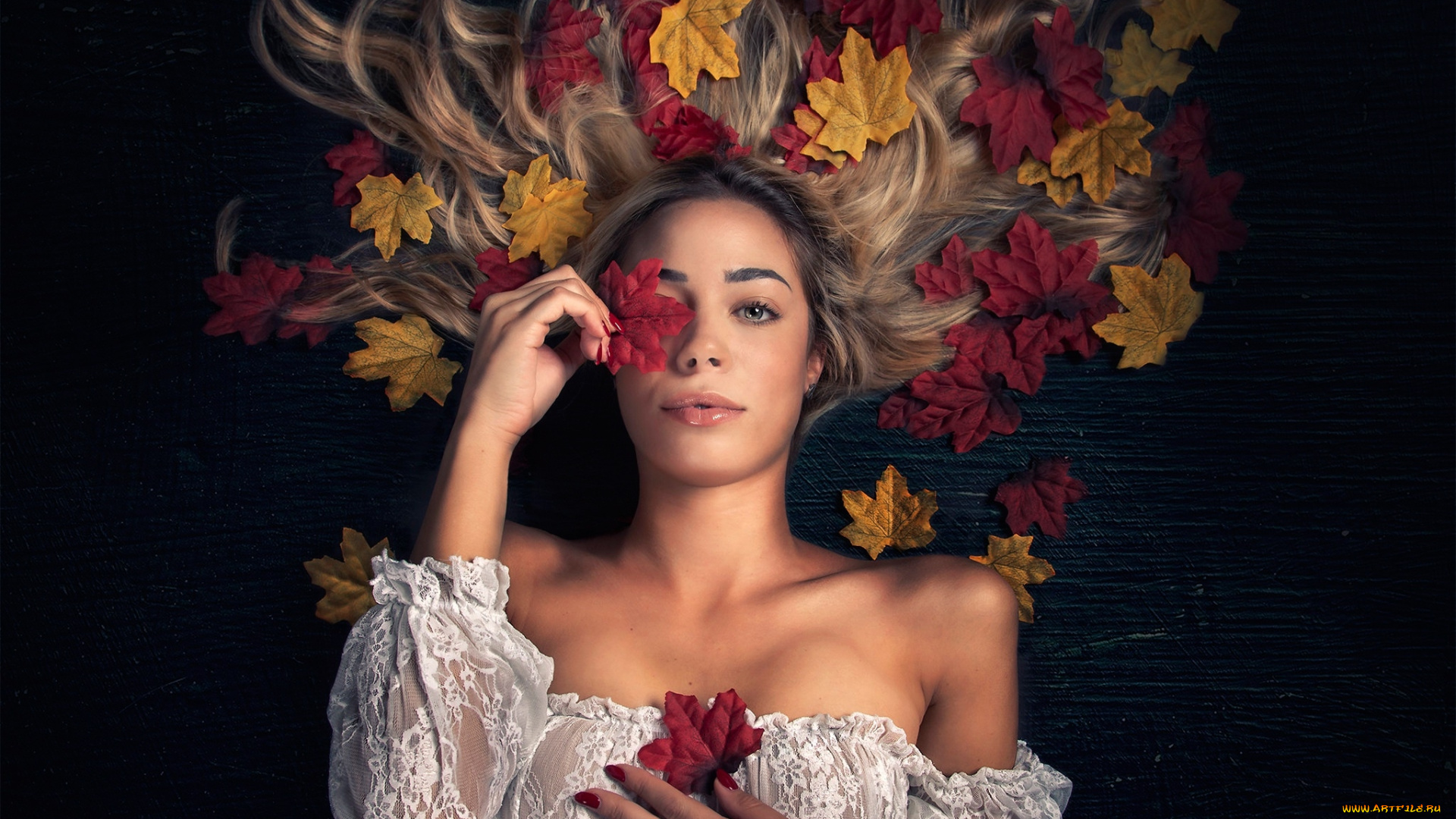 девушки, -, блондинки, , светловолосые, блузка, блондинка, листья, поза