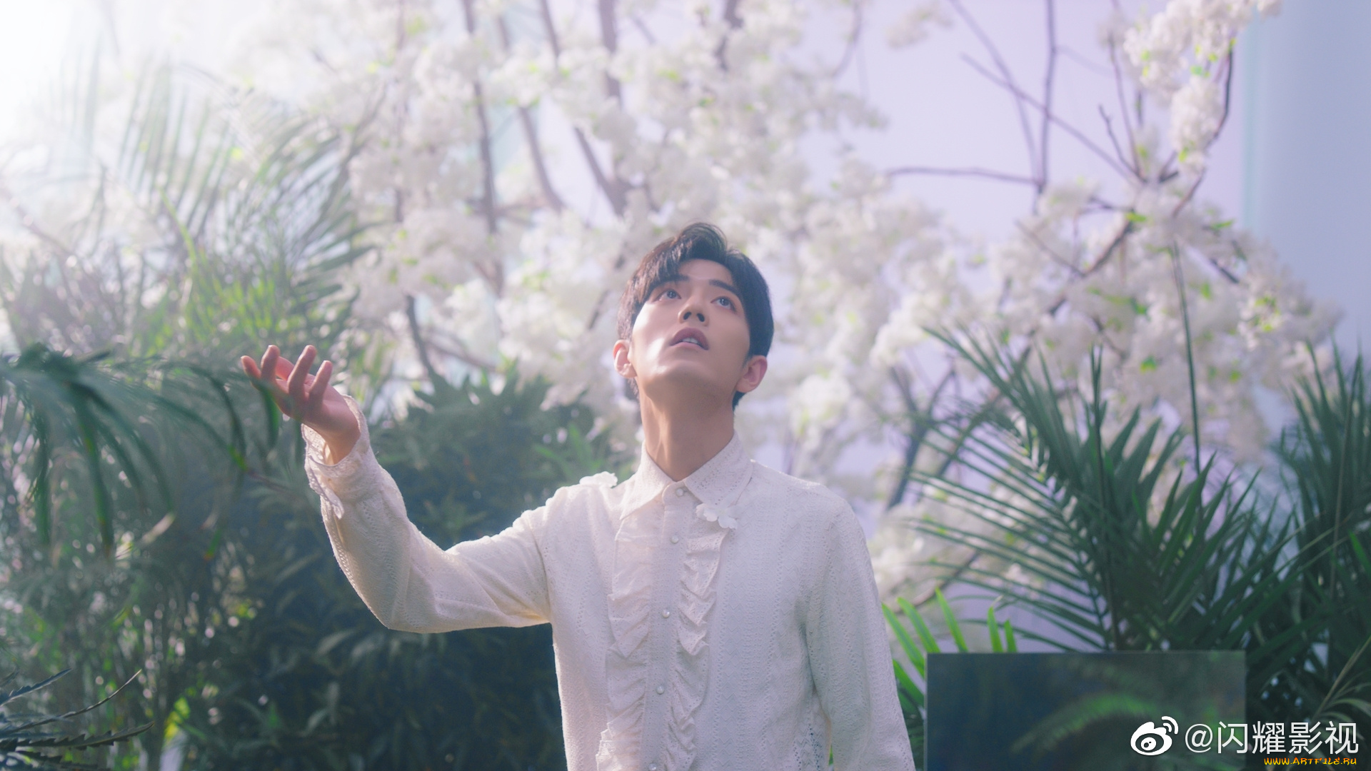 мужчины, xiao, zhan, сяо, чжань, xiao, zhan