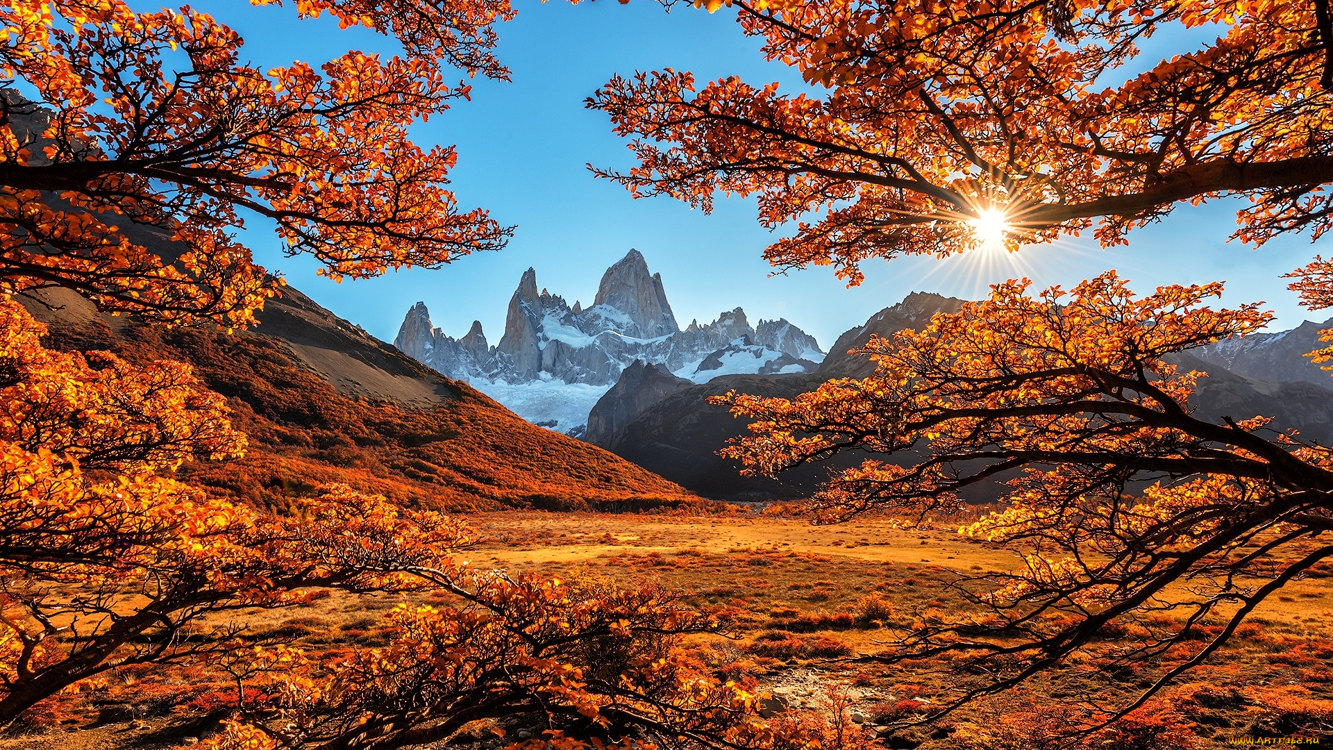 природа, пейзажи, осень, деревья, пейзаж, горы