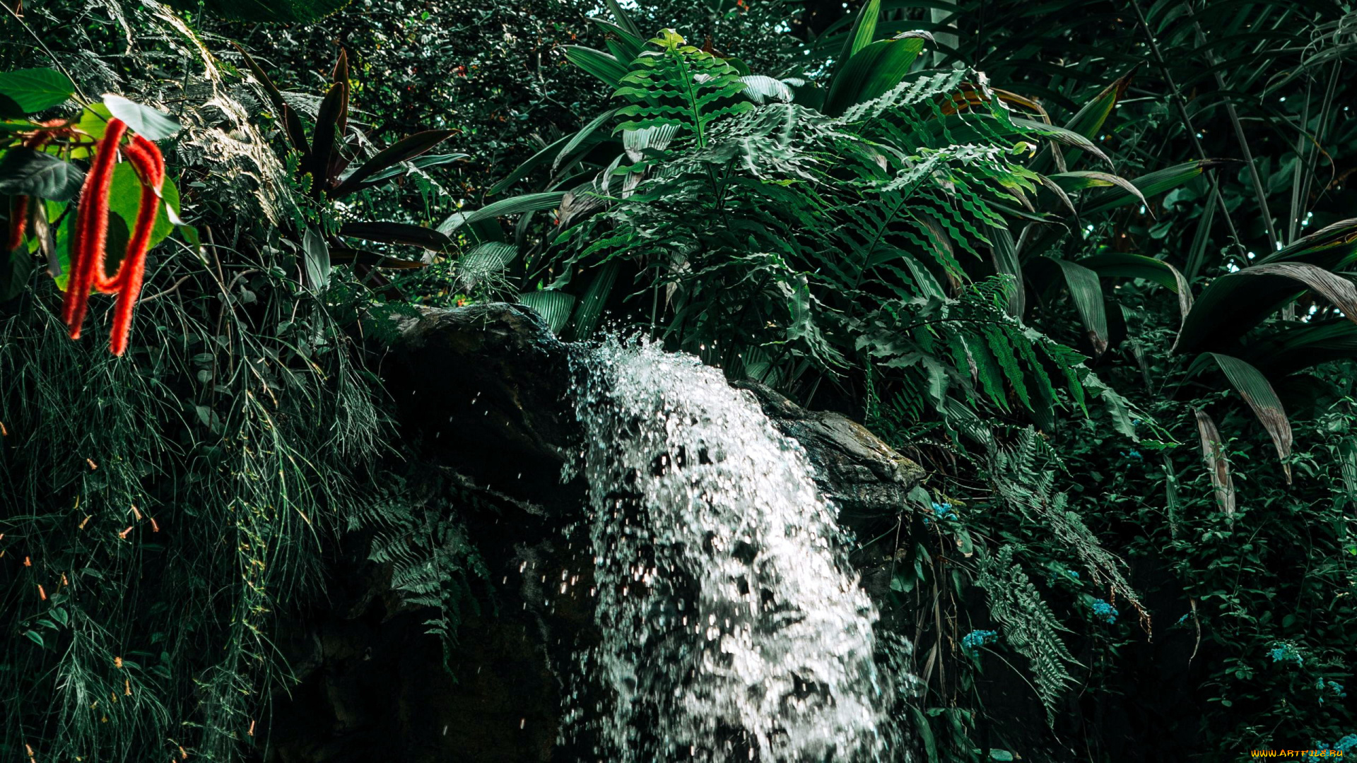 природа, водопады, вода, водопад, поток