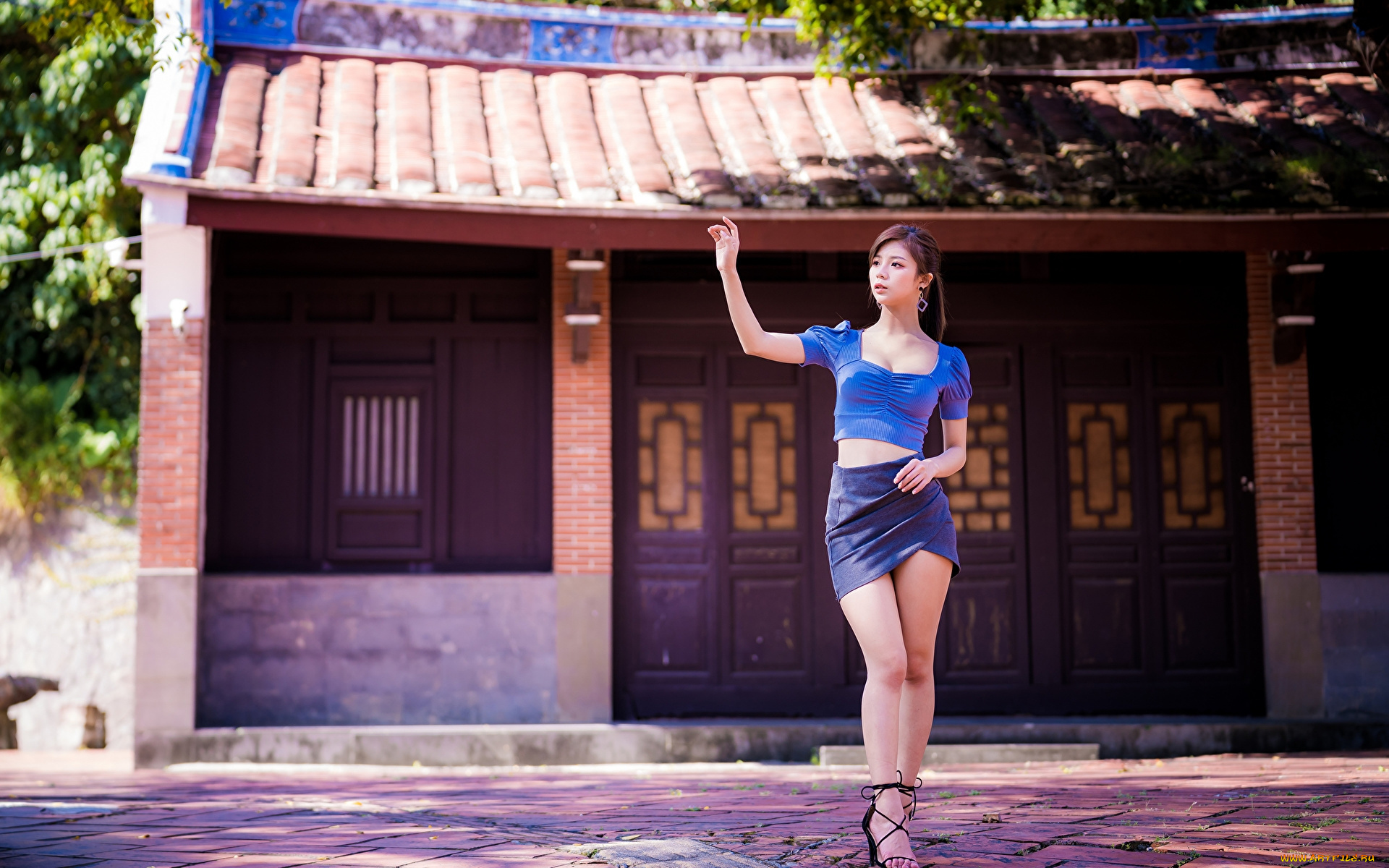 девушки, -, азиатки, юбка, азиатка, топ