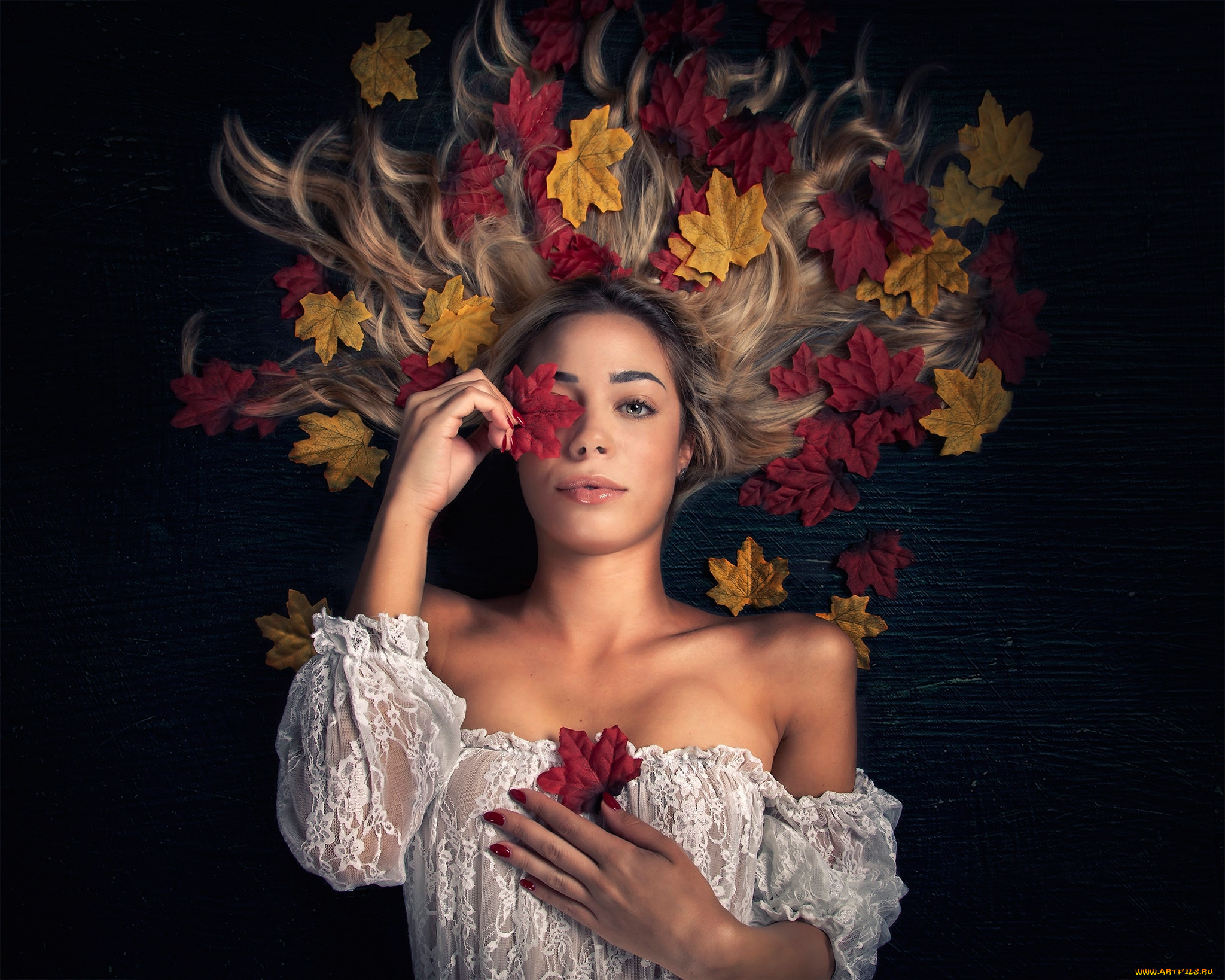 девушки, -, блондинки, , светловолосые, блузка, блондинка, листья, поза