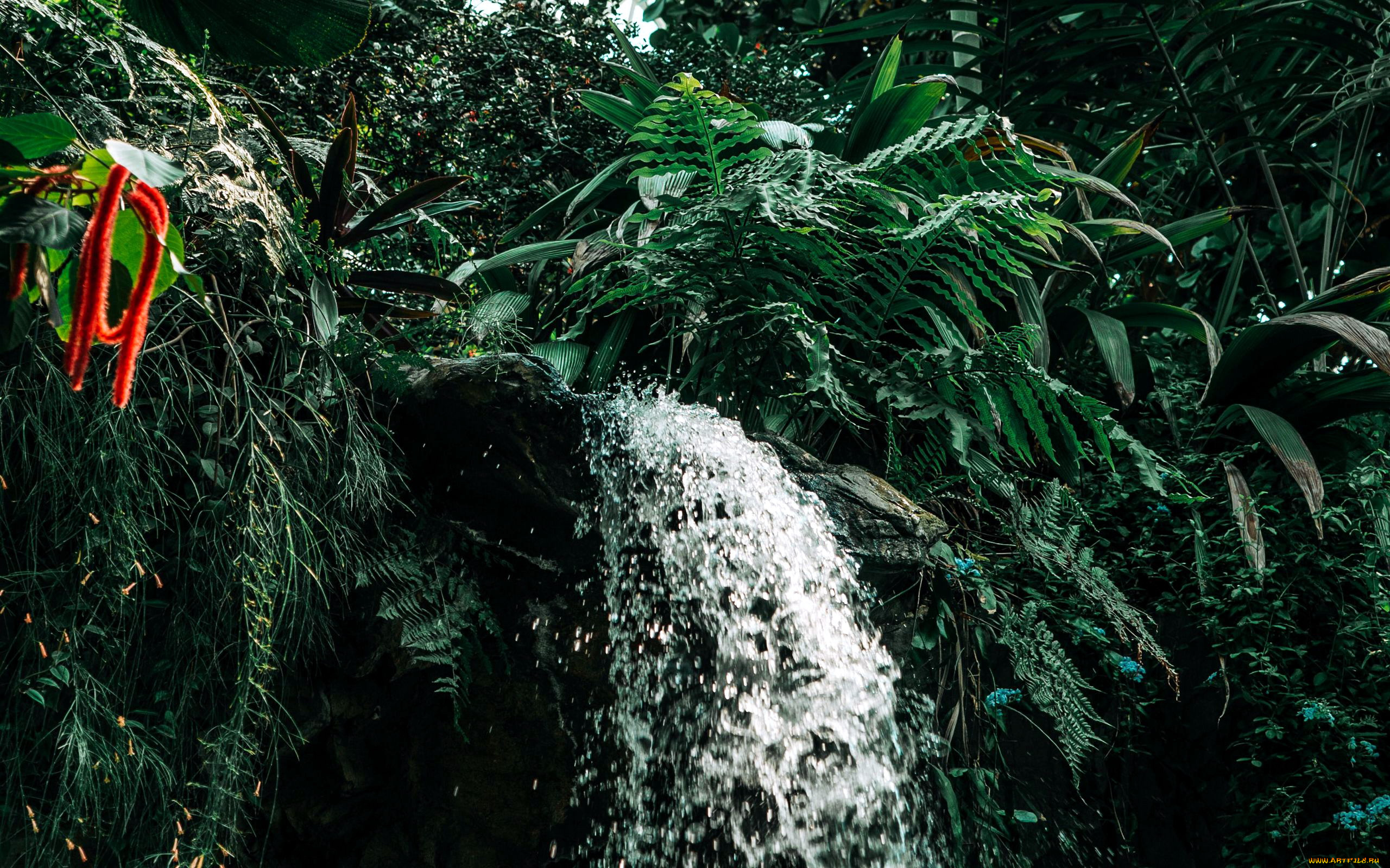 природа, водопады, вода, водопад, поток