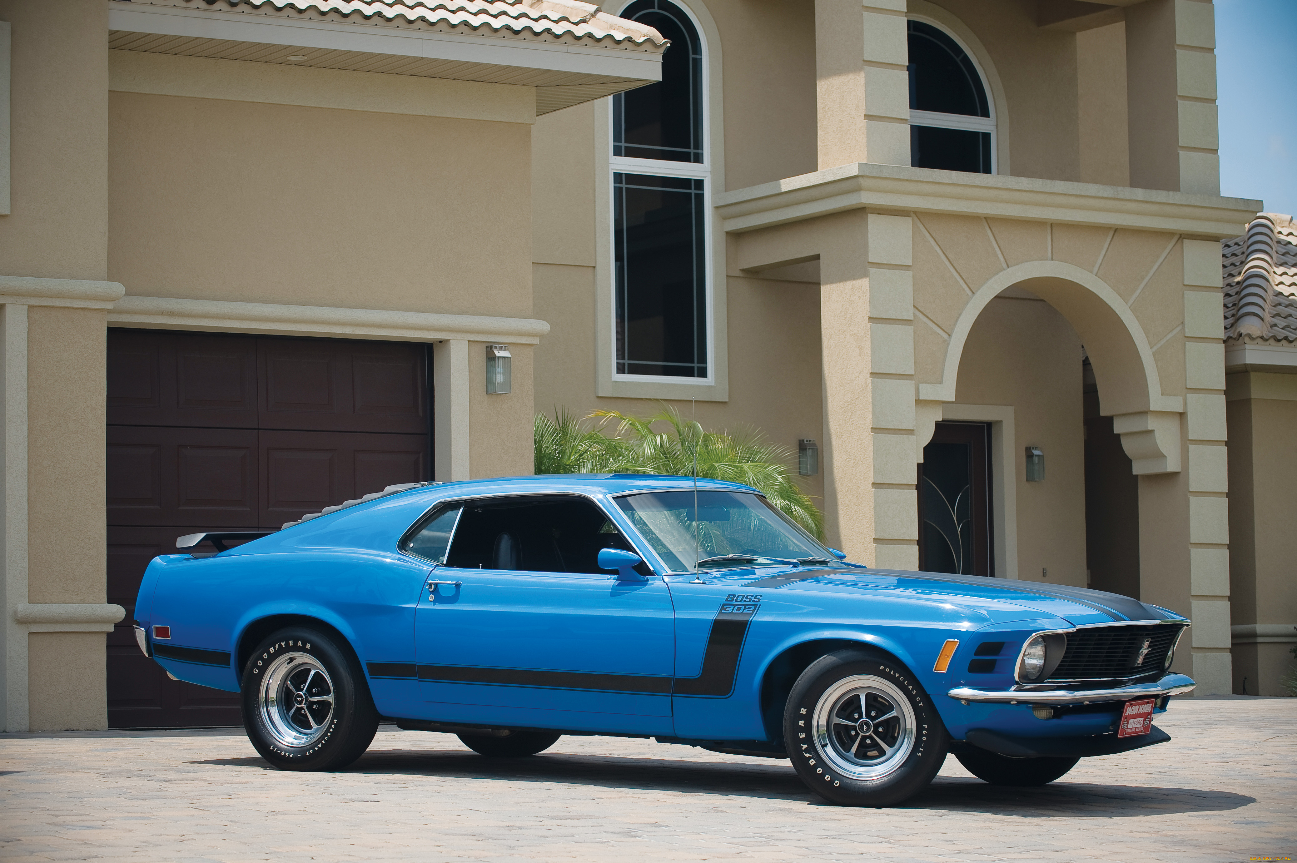 автомобили, mustang