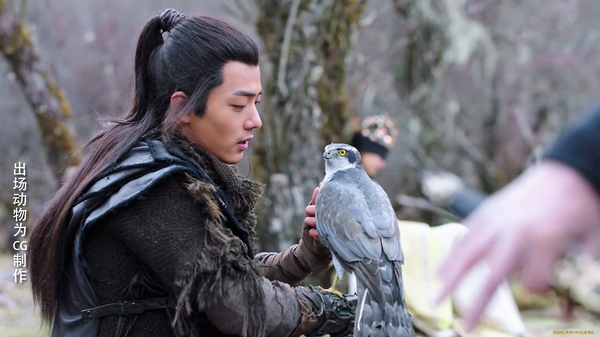 кино, фильмы, the, wolf, цзичун, птица