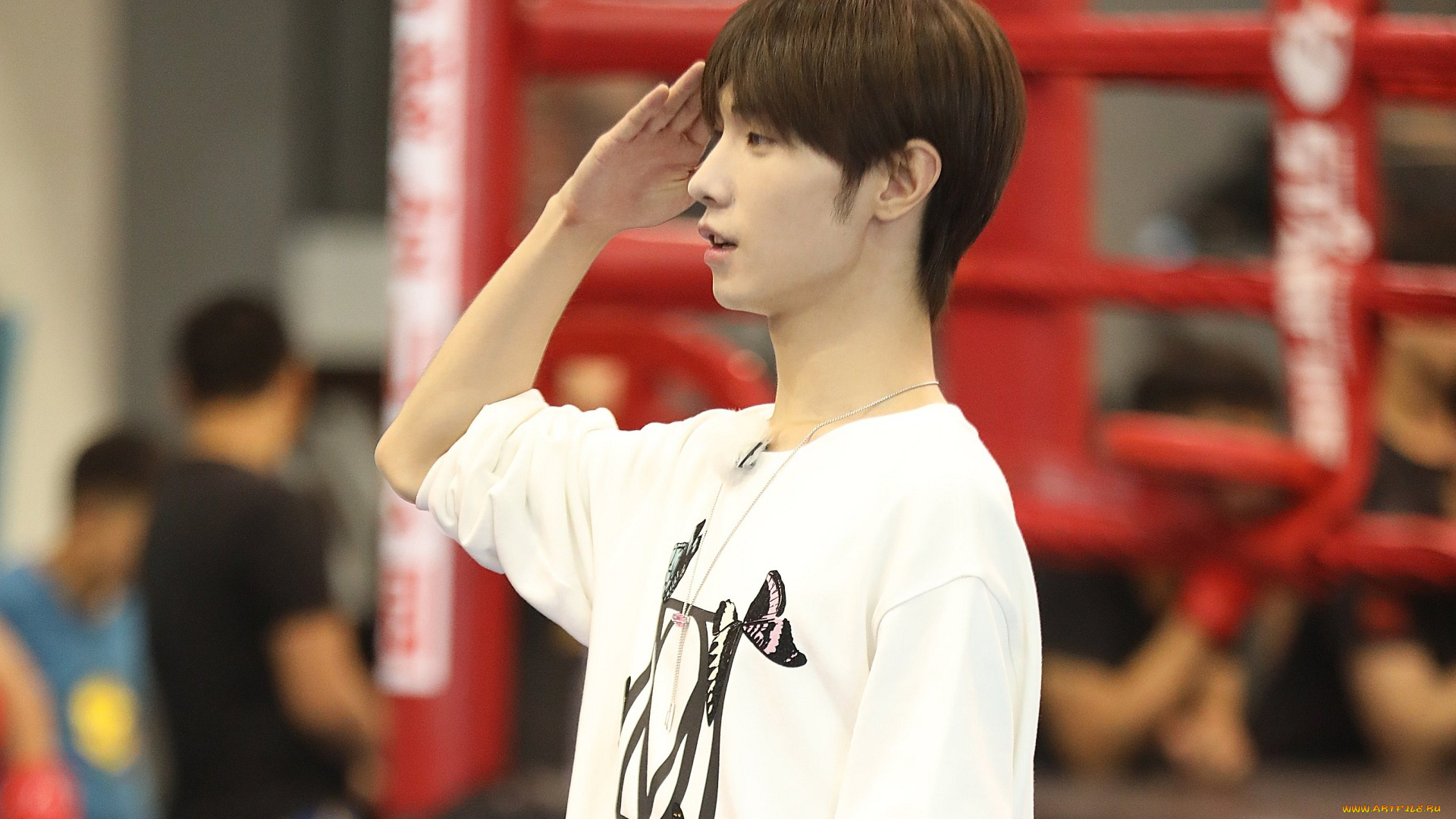 мужчины, song, ji, yang, сун, цзиян, китайский, актёр, певец