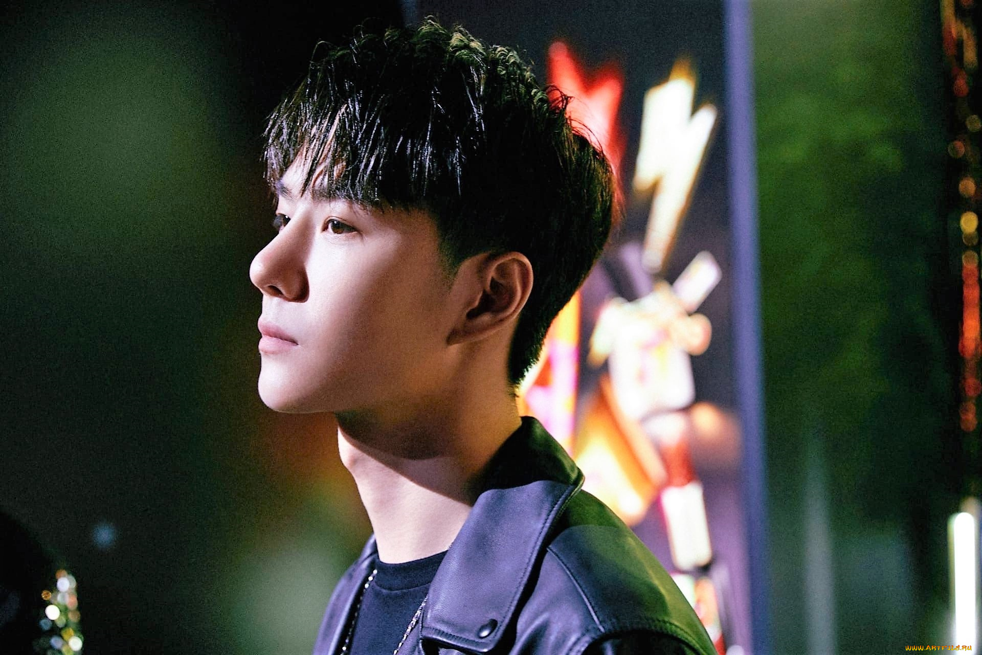 мужчины, wang, yi, bo, куртка, лицо