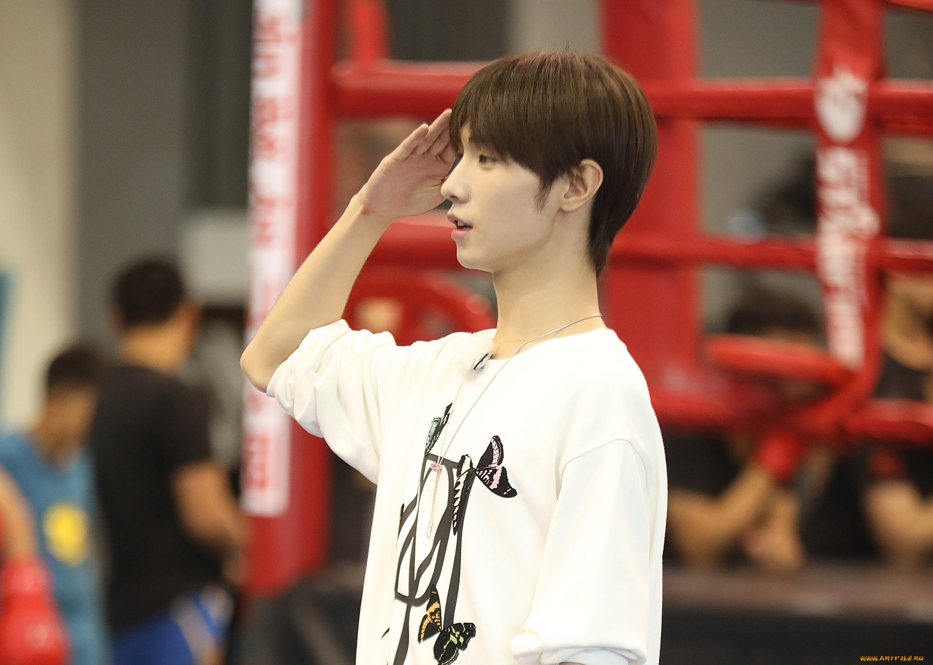 мужчины, song, ji, yang, сун, цзиян, китайский, актёр, певец