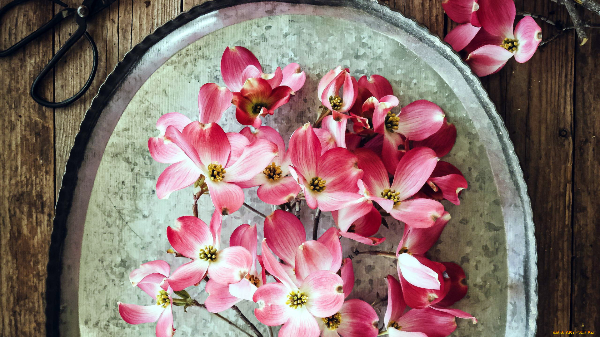 цветы, кизил, поднос, ветка