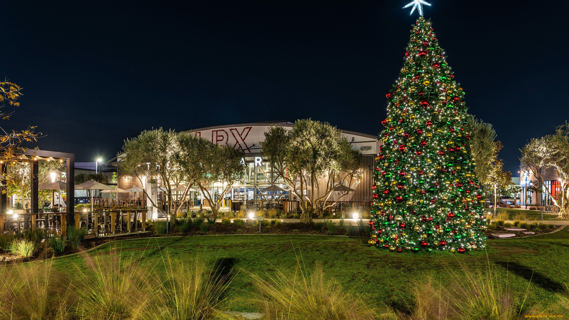 праздничные, ёлки, лужайка, вечер, елка, шарики, гирлянды