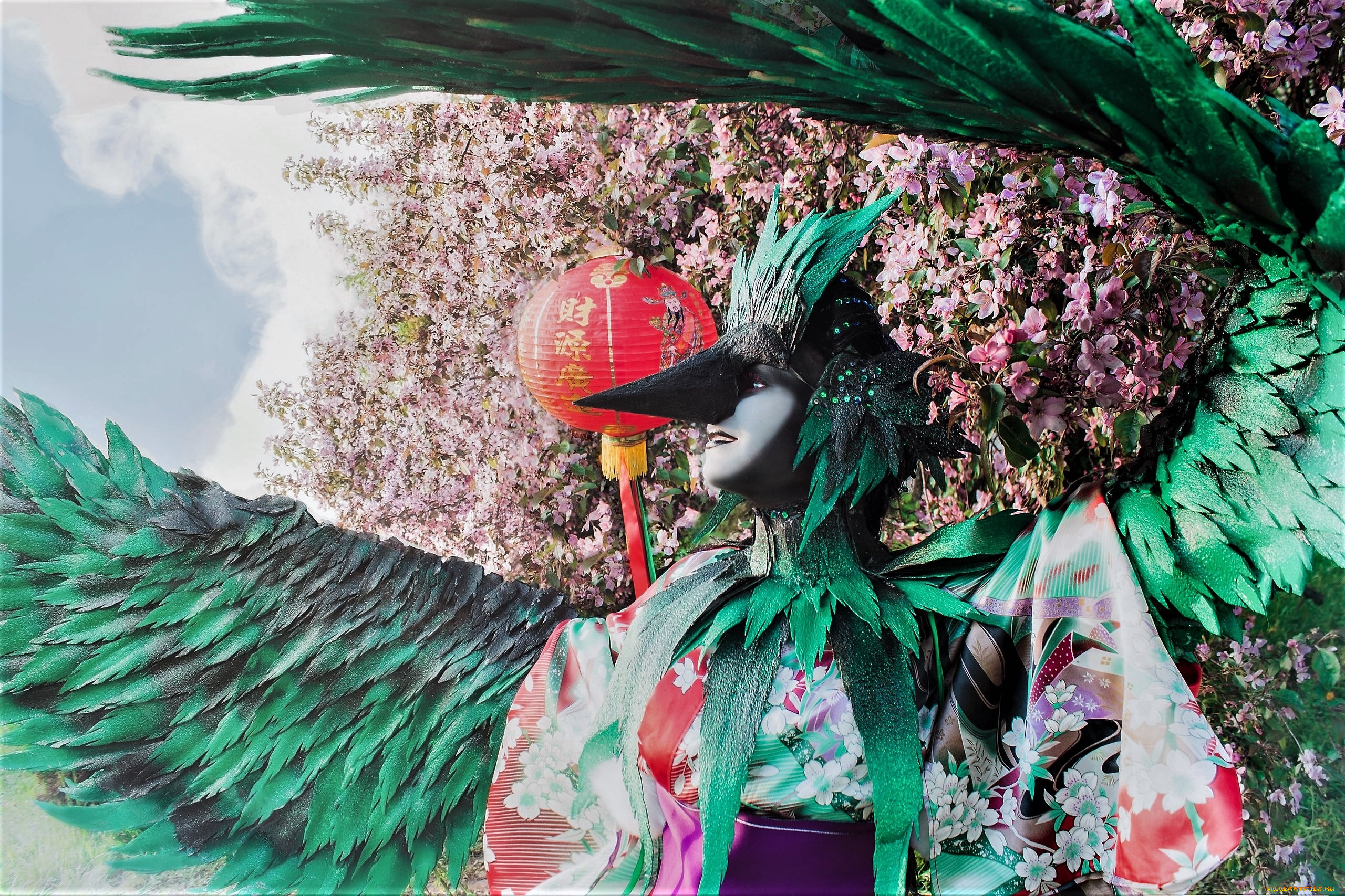 девушки, наталья, фильченкова, , , alisa, образ, костюм, крылья