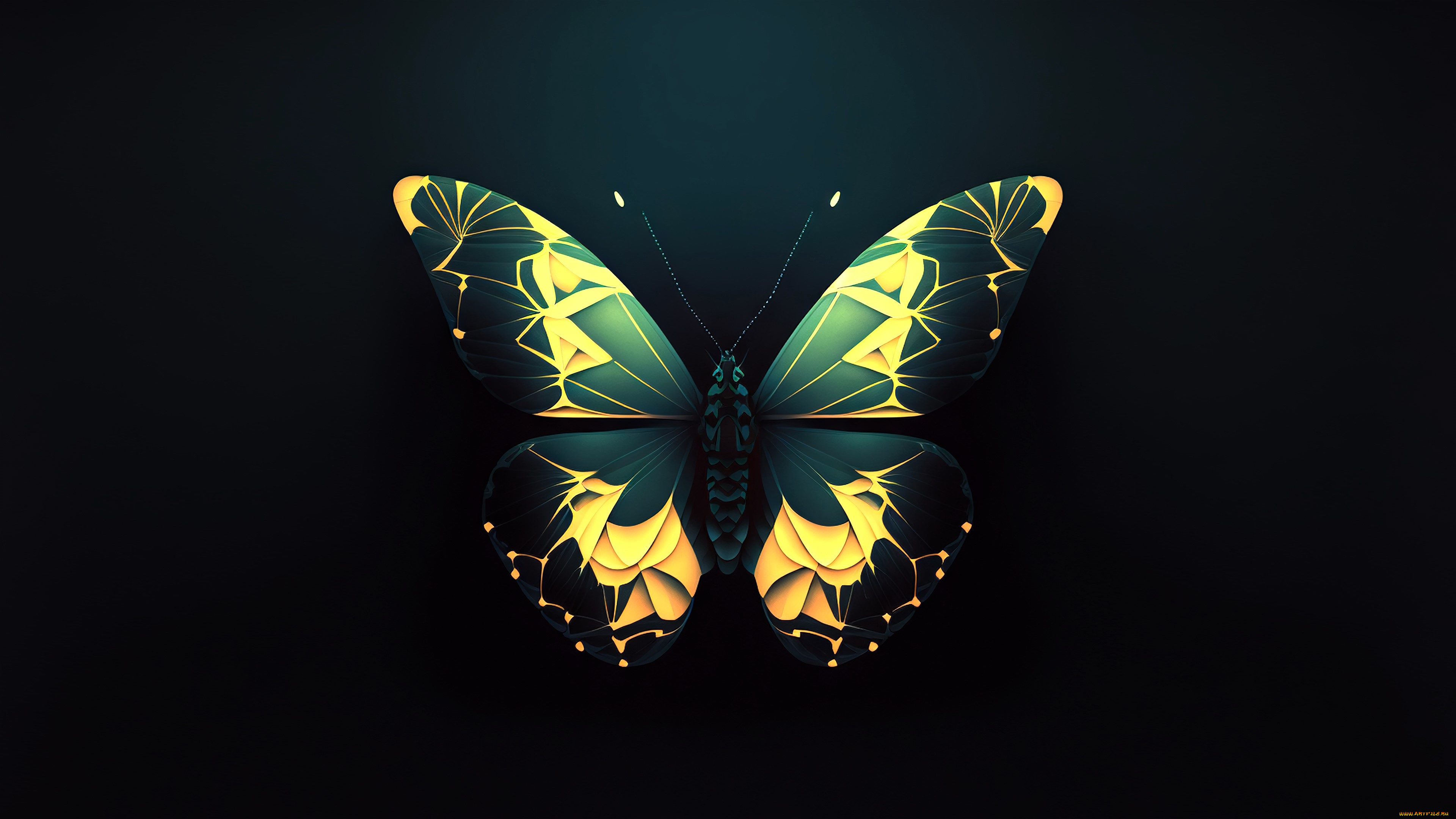 векторная, графика, животные, , animals, бабочка