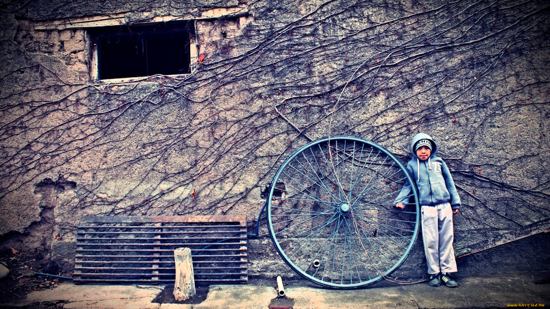разное, дети, мальчик, куртка, колесо, стена, ветки, окно