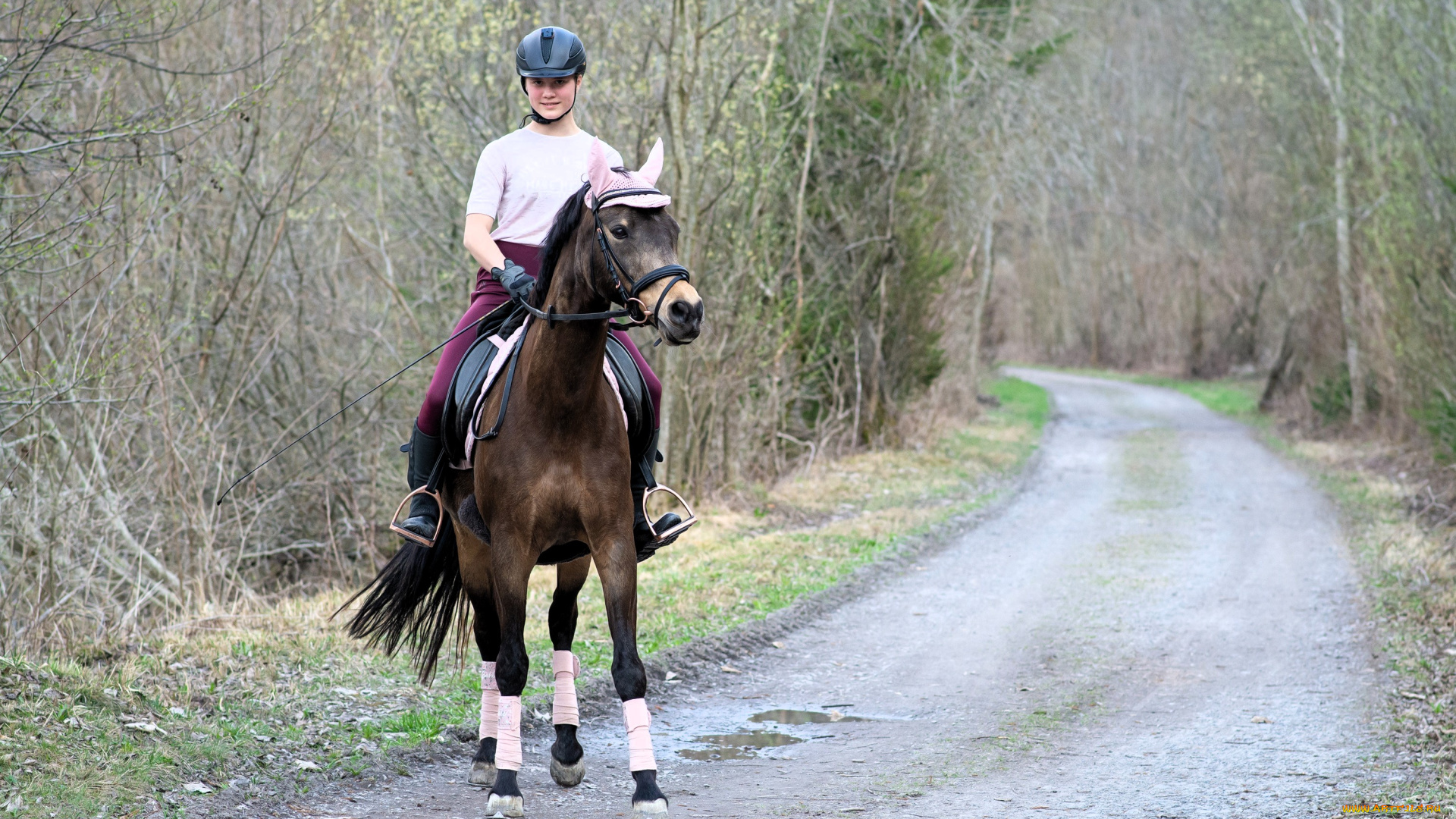 спорт, конный, спорт, девушка, всадница, лошадь, дорога, лес