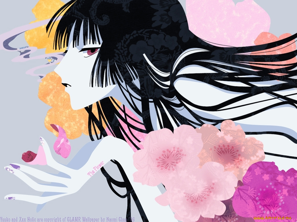 аниме, xxxholic