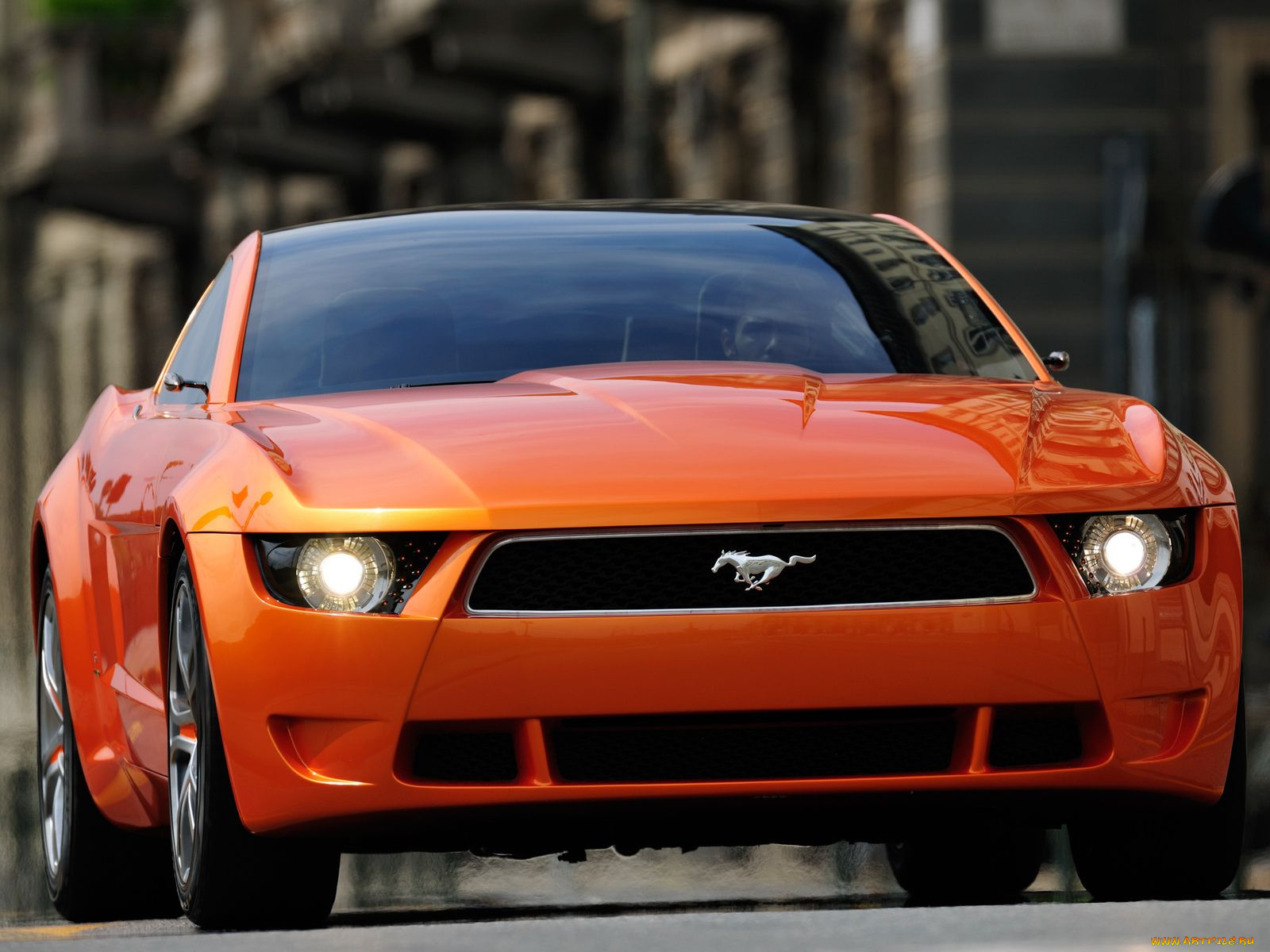 автомобили, mustang