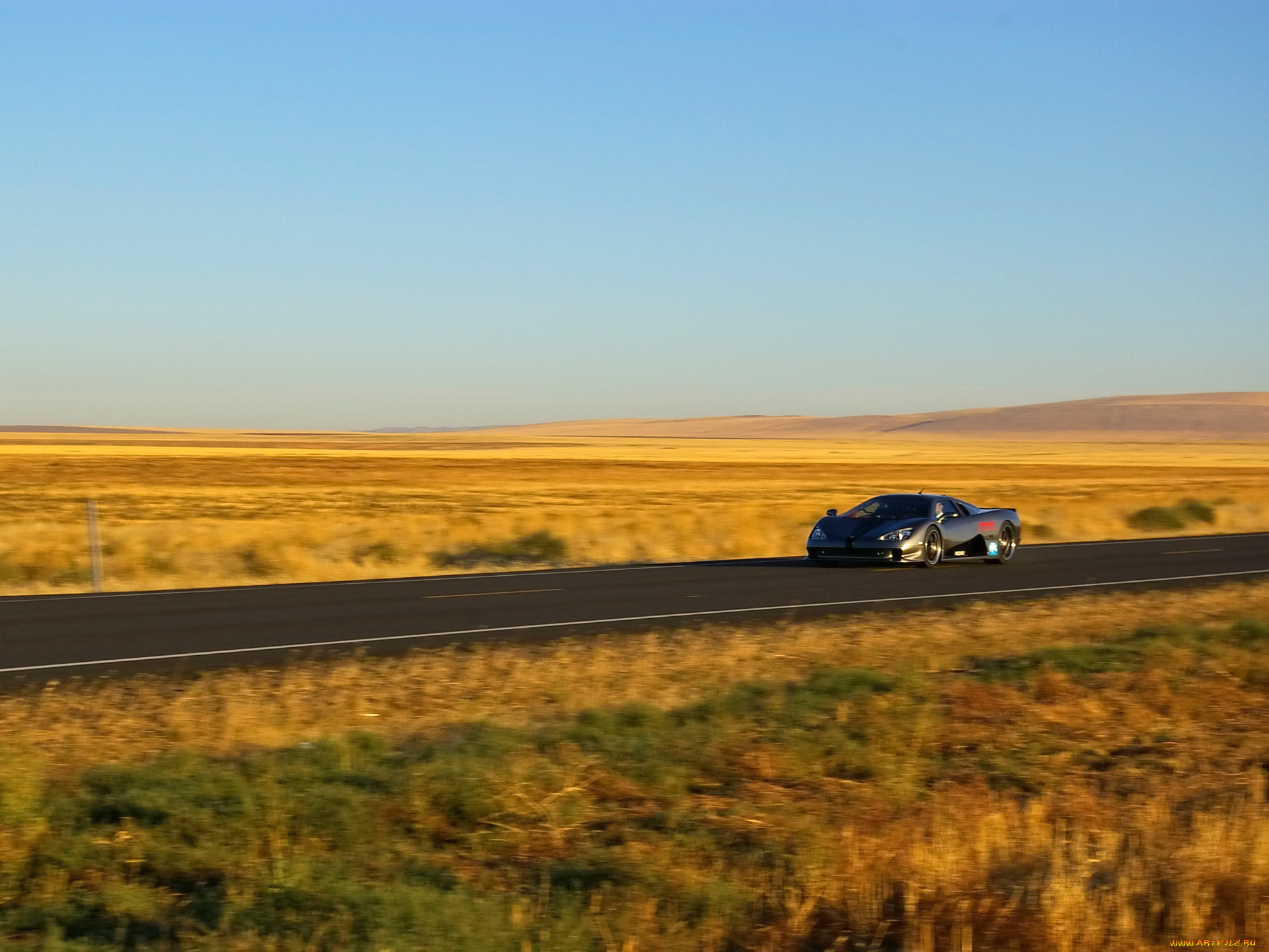 автомобили, ac, cobra, shelby