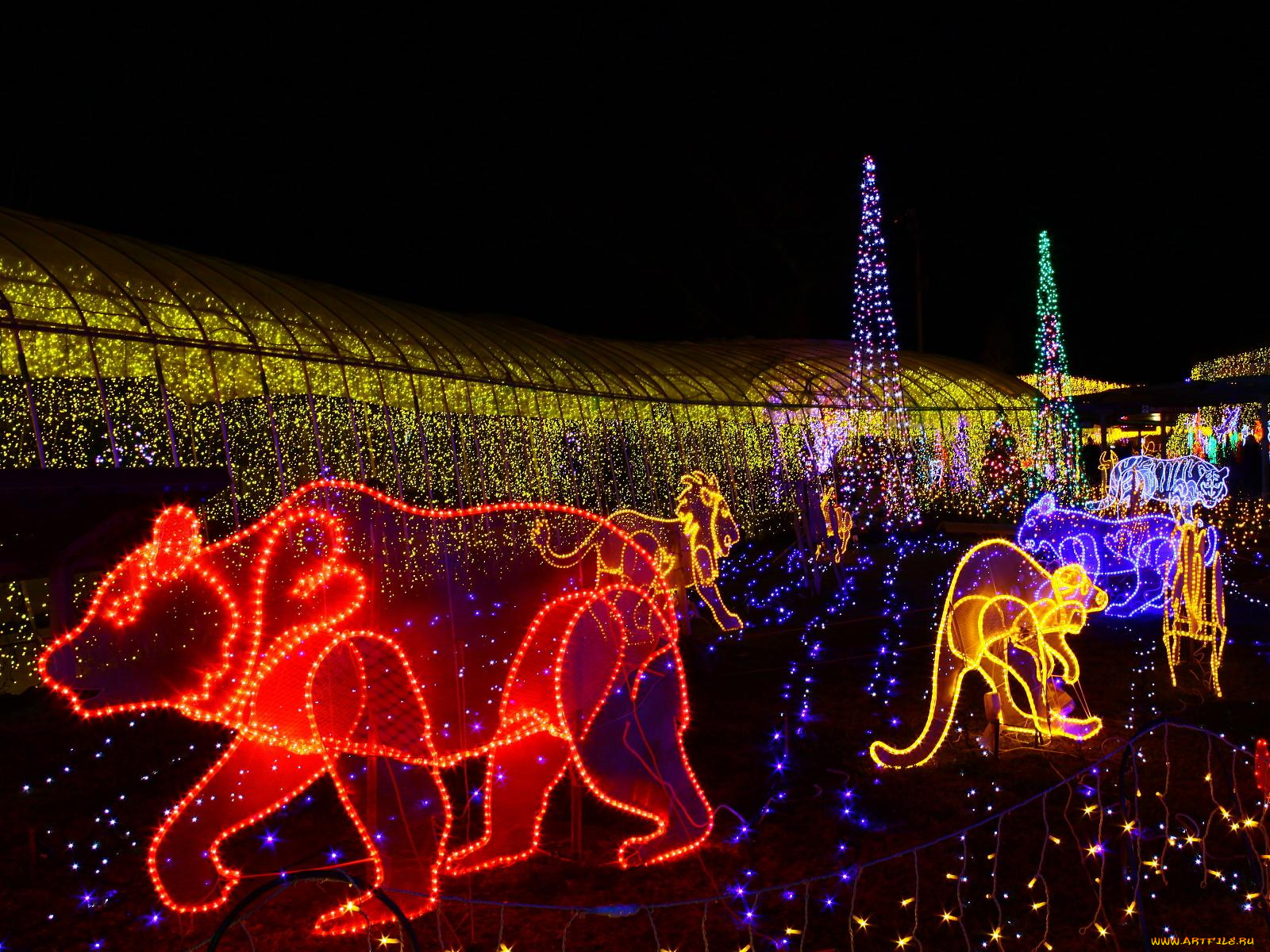 праздничные, новогодние, пейзажи