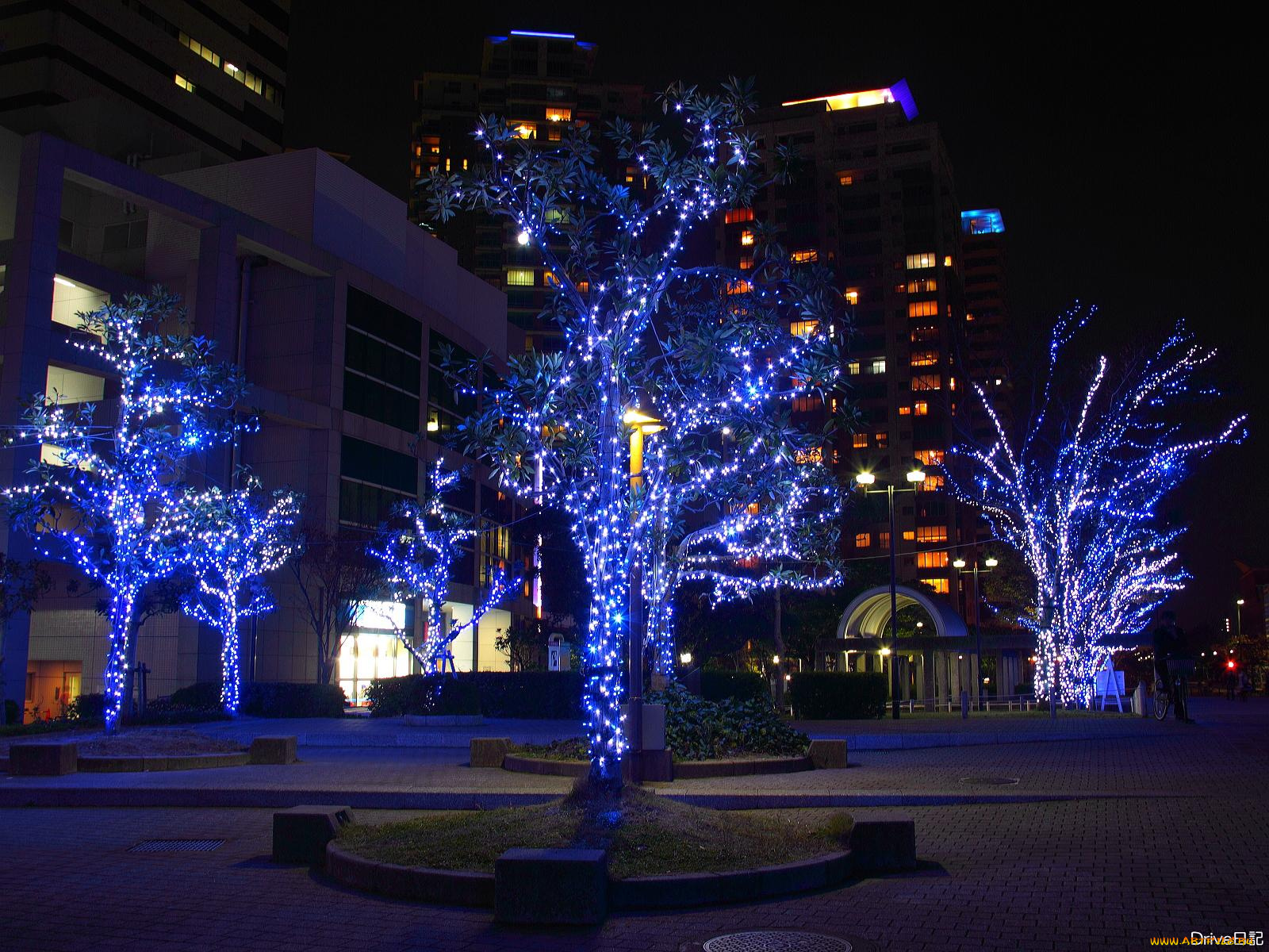 праздничные, новогодние, пейзажи