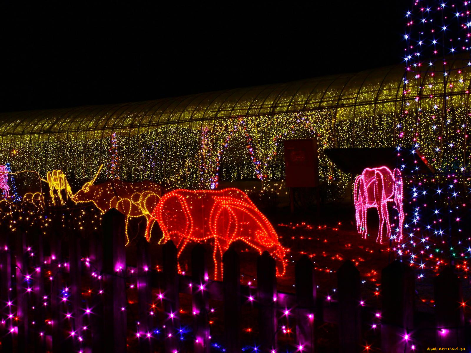 праздничные, новогодние, пейзажи