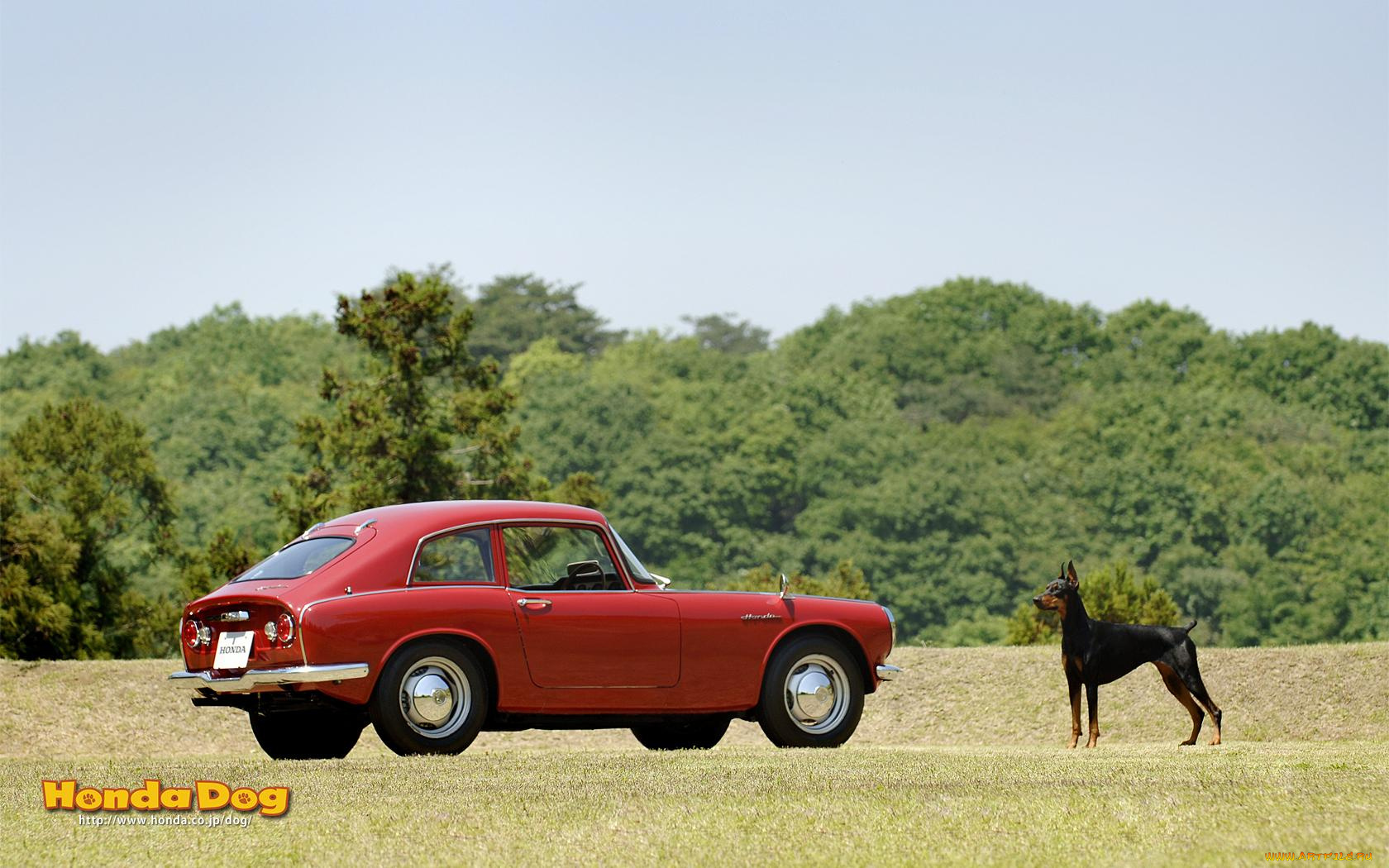 автомобили, honda