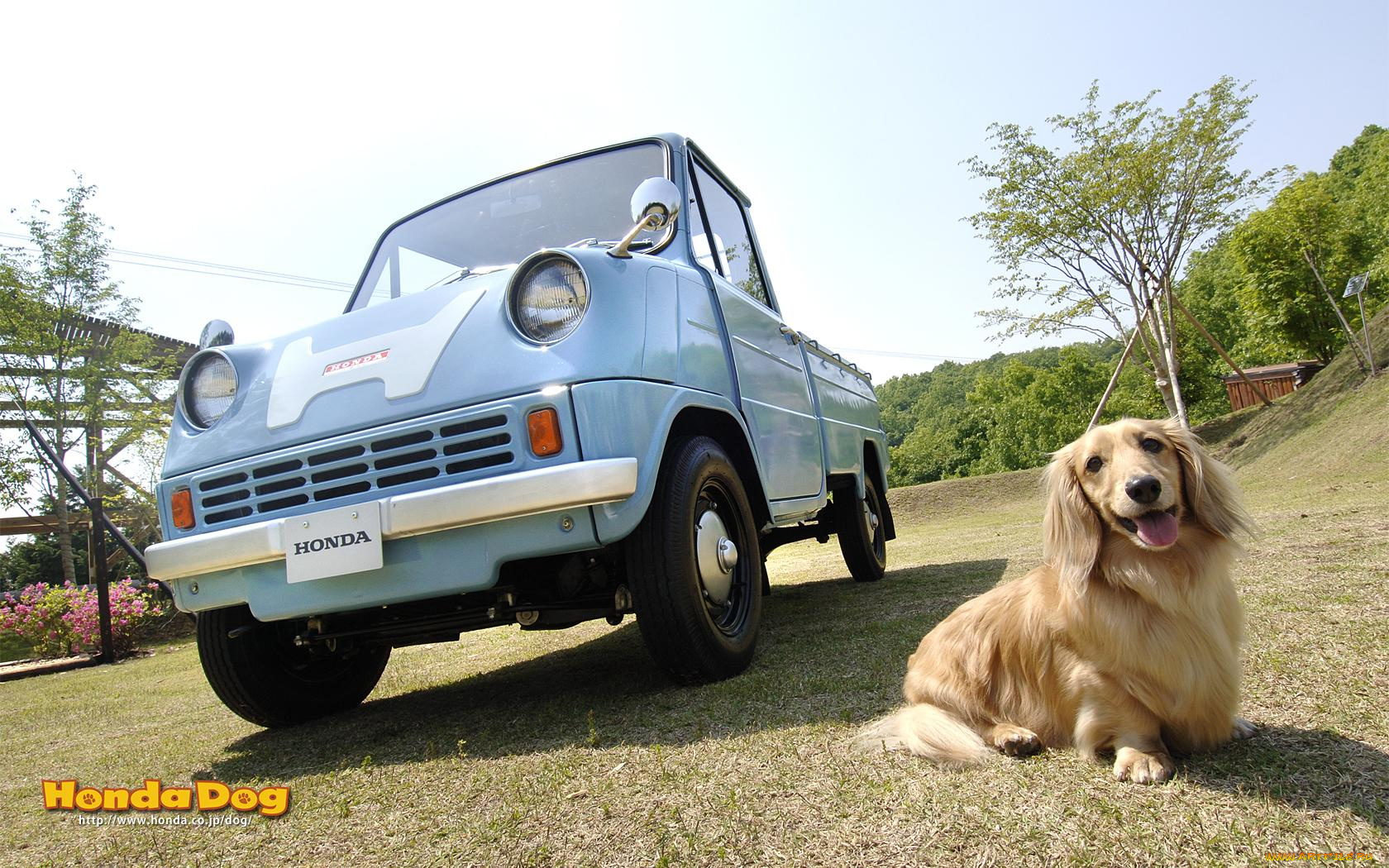 автомобили, honda