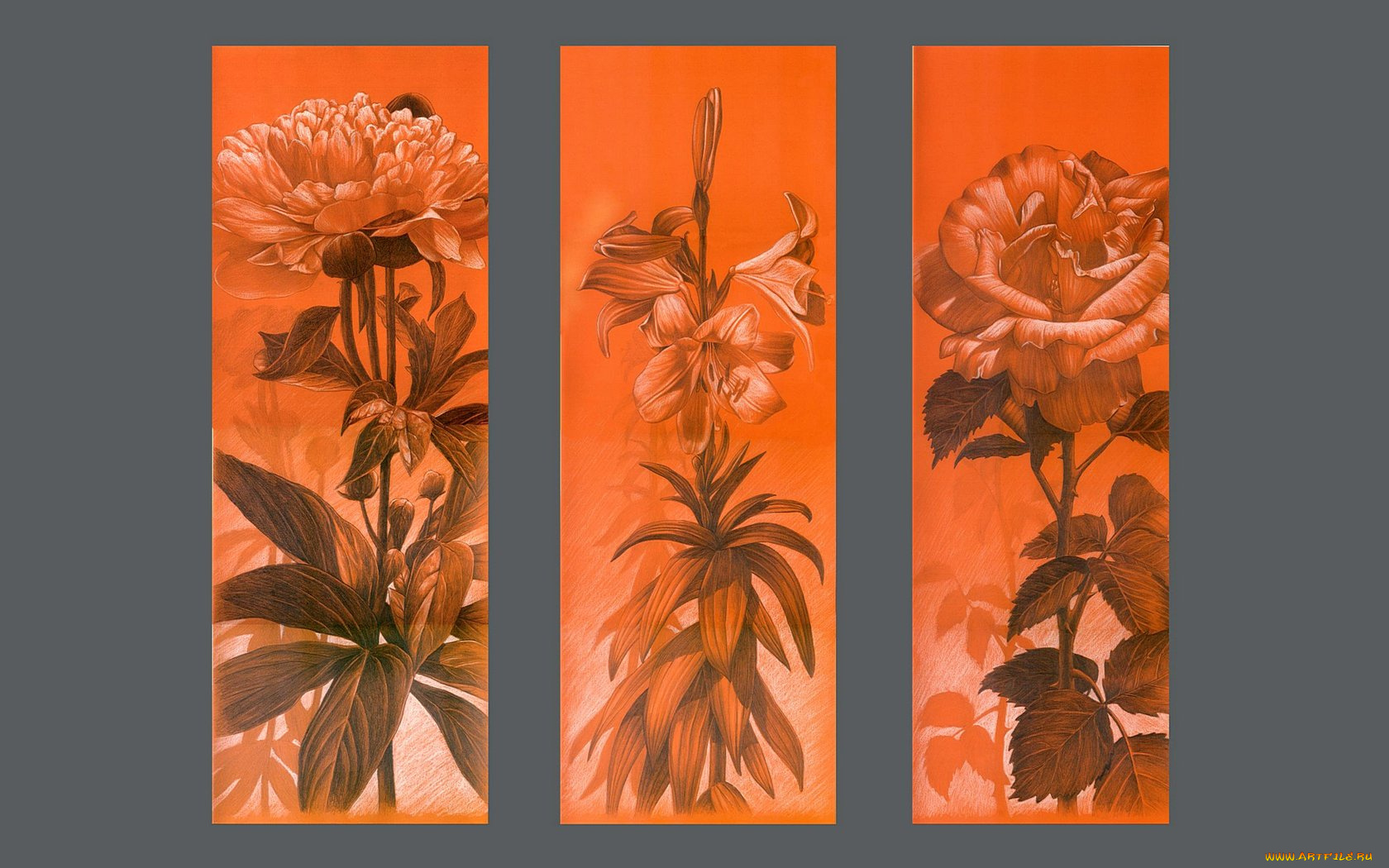 рисованные, цветы