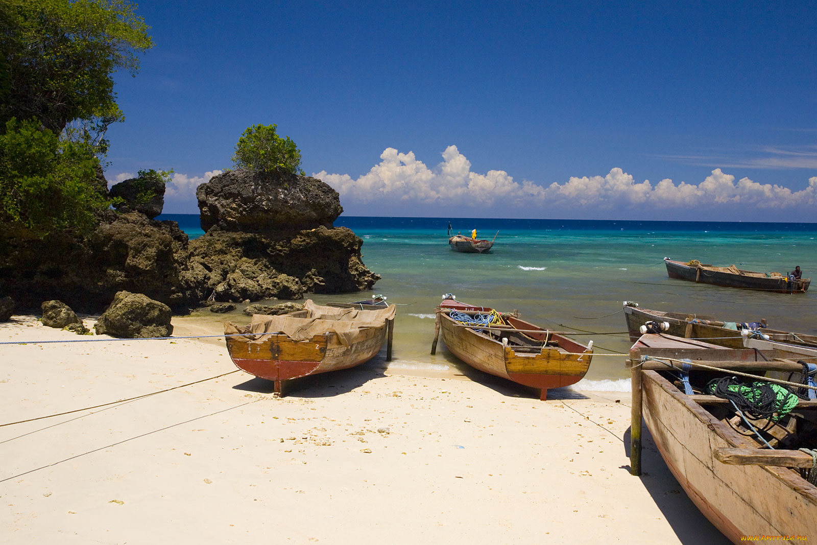 корабли, лодки, шлюпки, море, деревья, скалы