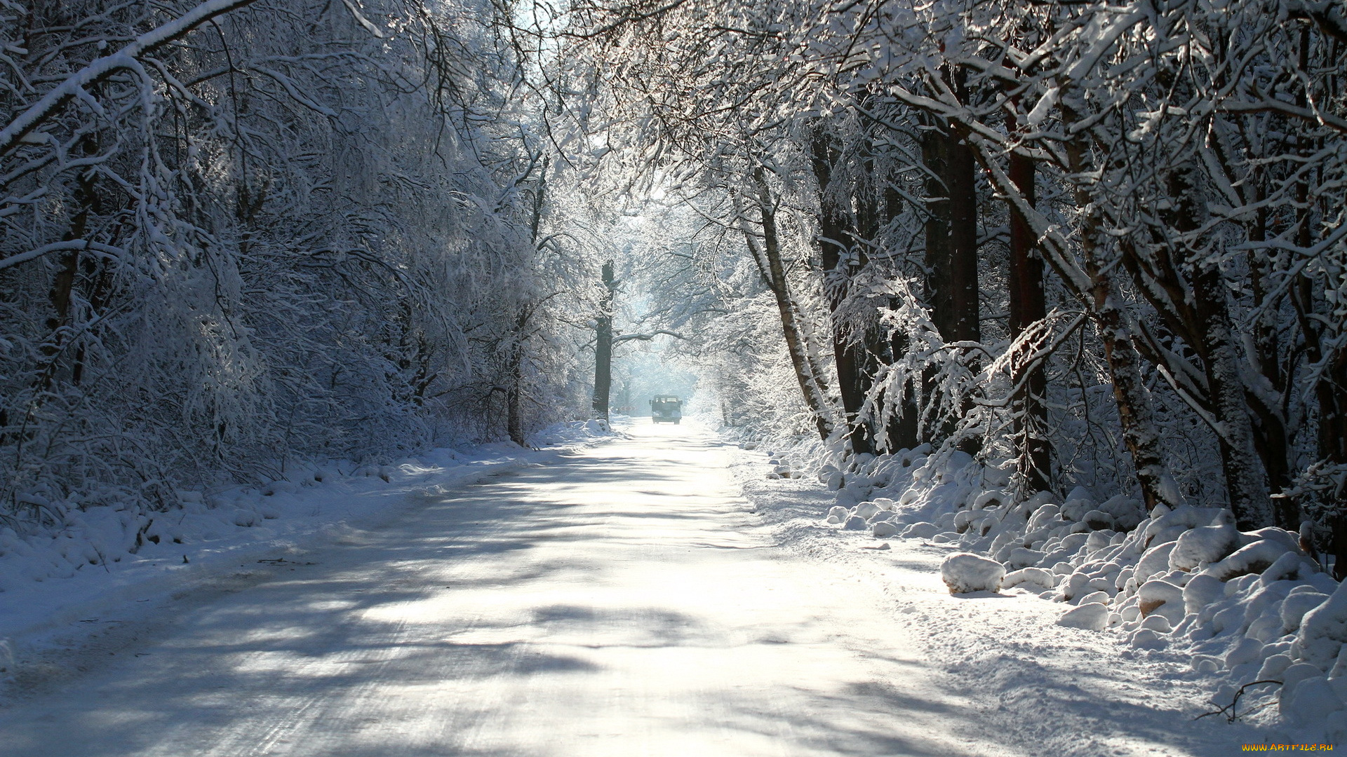 природа, зима, деревья