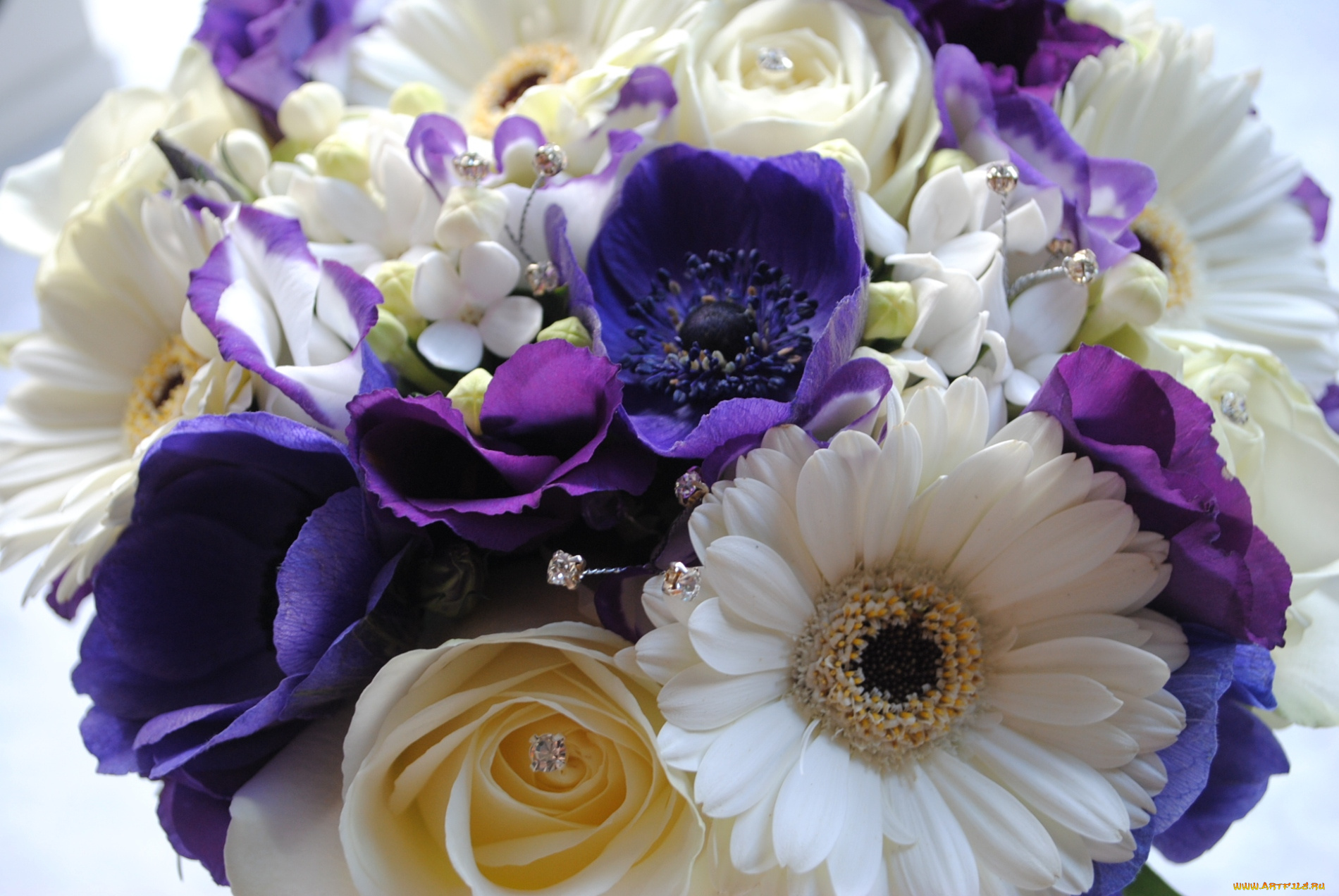 цветы, букеты, композиции, анемоны, эустома, герберы, розы